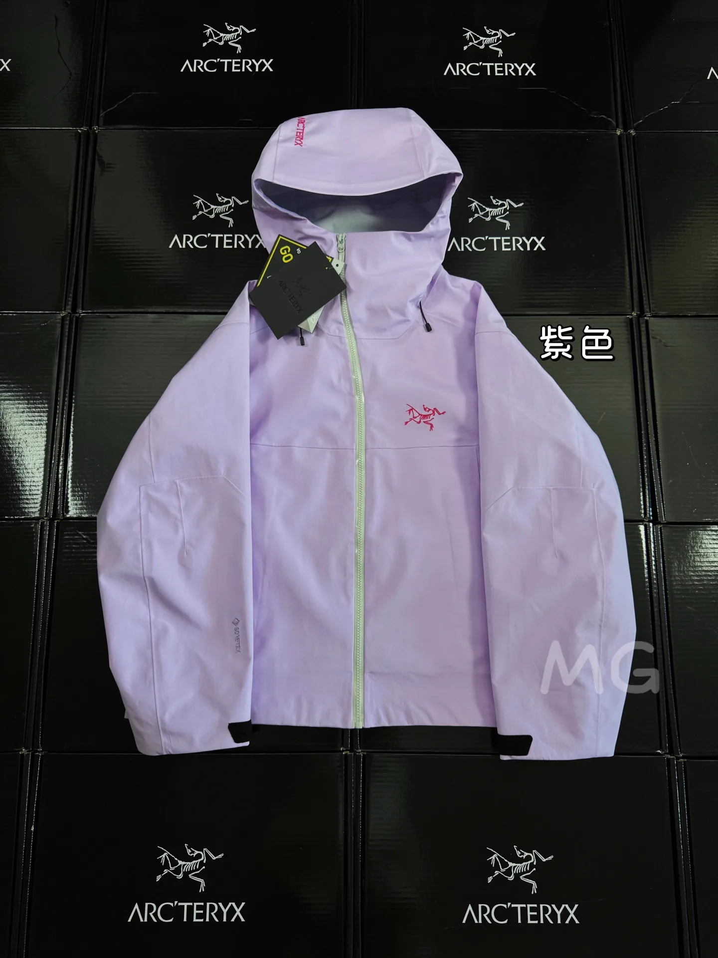 Arc'teryx Sidewinder GORE-TEX Shell Jacket D38019310