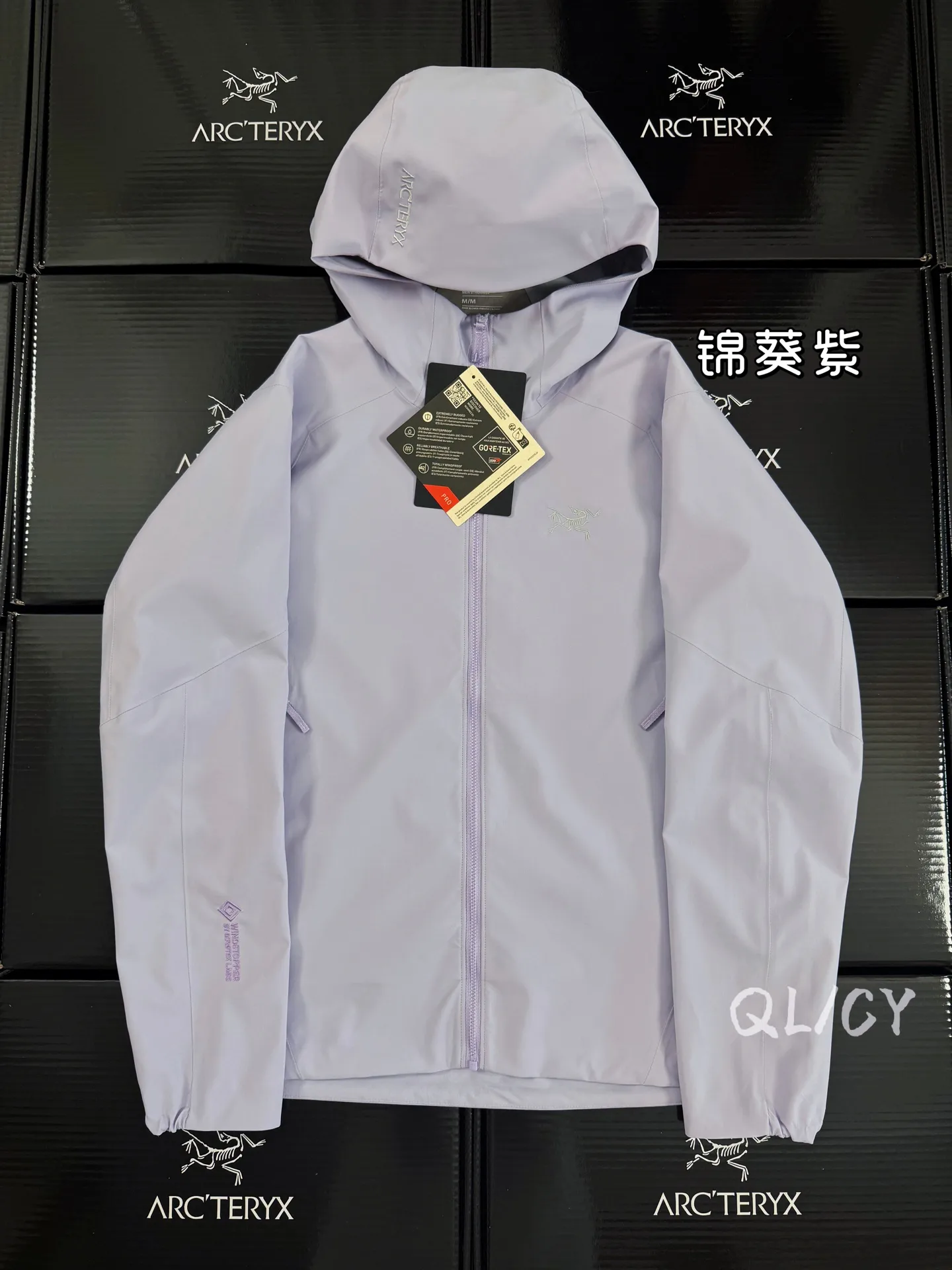 Saydi Hoody GORE-TEX Softshell Jacket D40019609