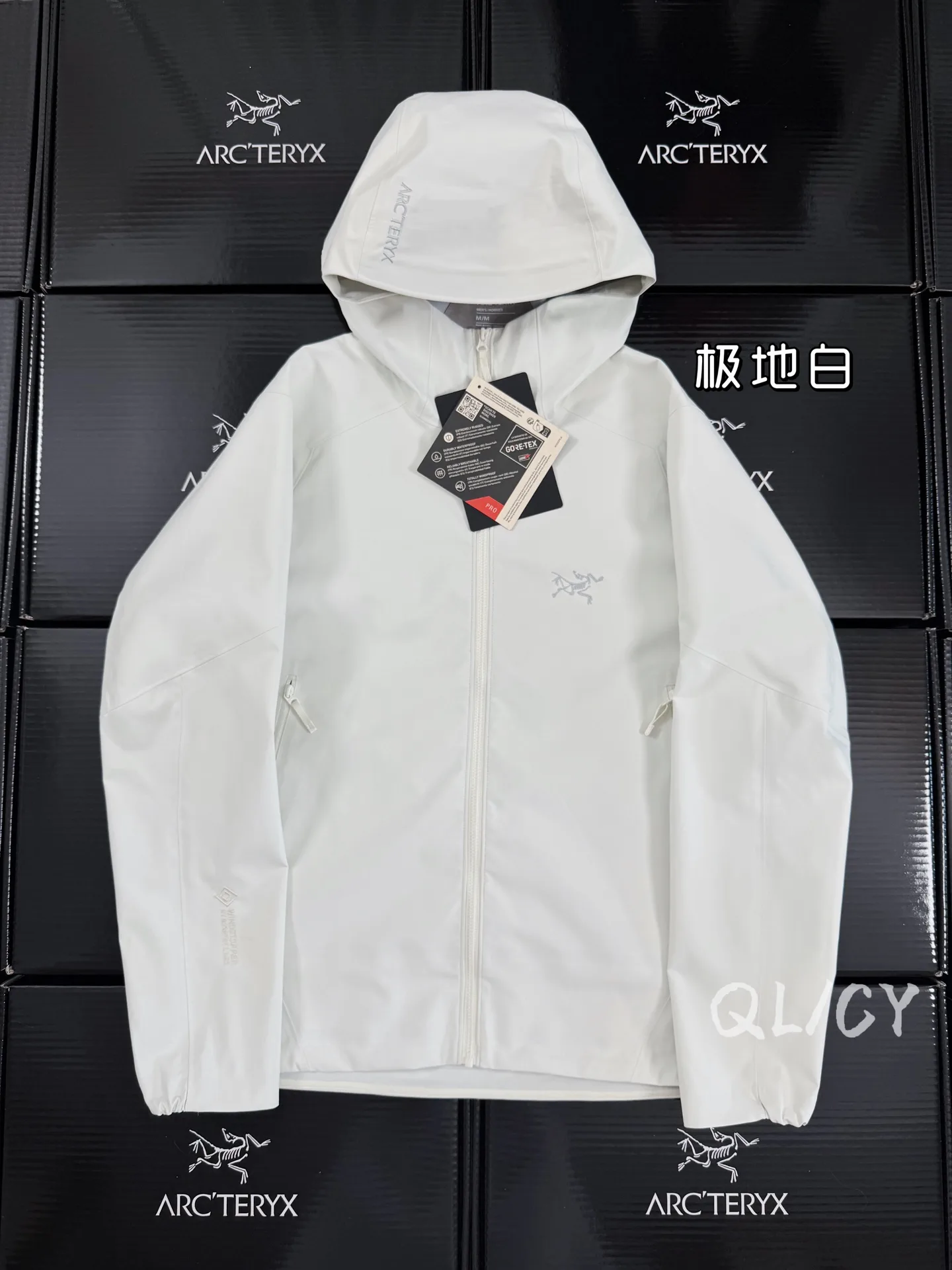 Saydi Hoody GORE-TEX Softshell Jacket D40019607