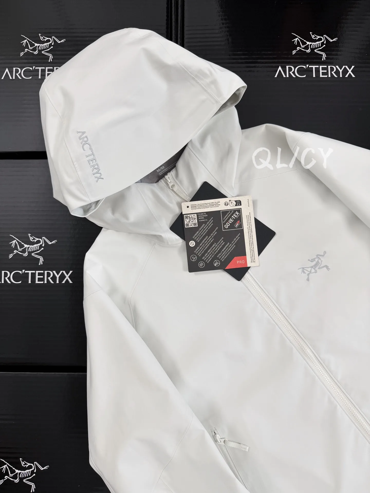 Saydi Hoody GORE-TEX Softshell Jacket D40019607 — view 7