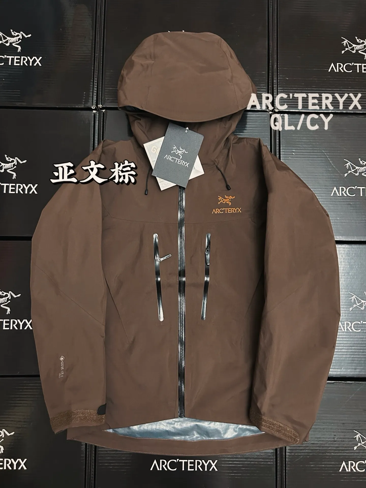 Alpha SV GORE-TEX Hooded Shell Jacket D42019585