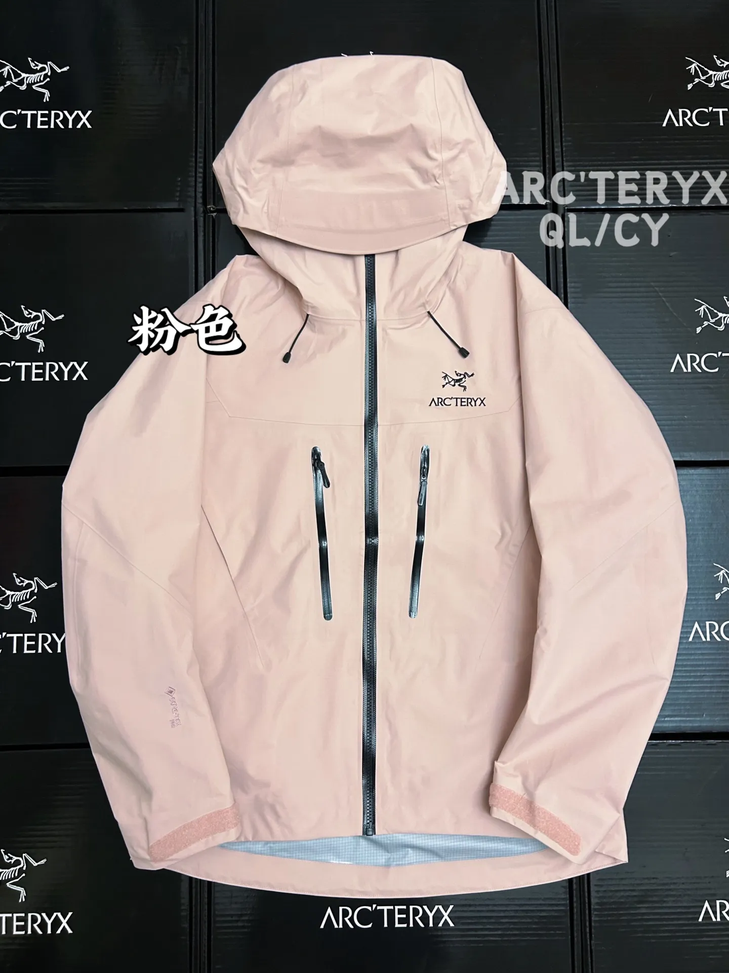 Alpha SV GORE-TEX Hooded Shell Jacket D42019582