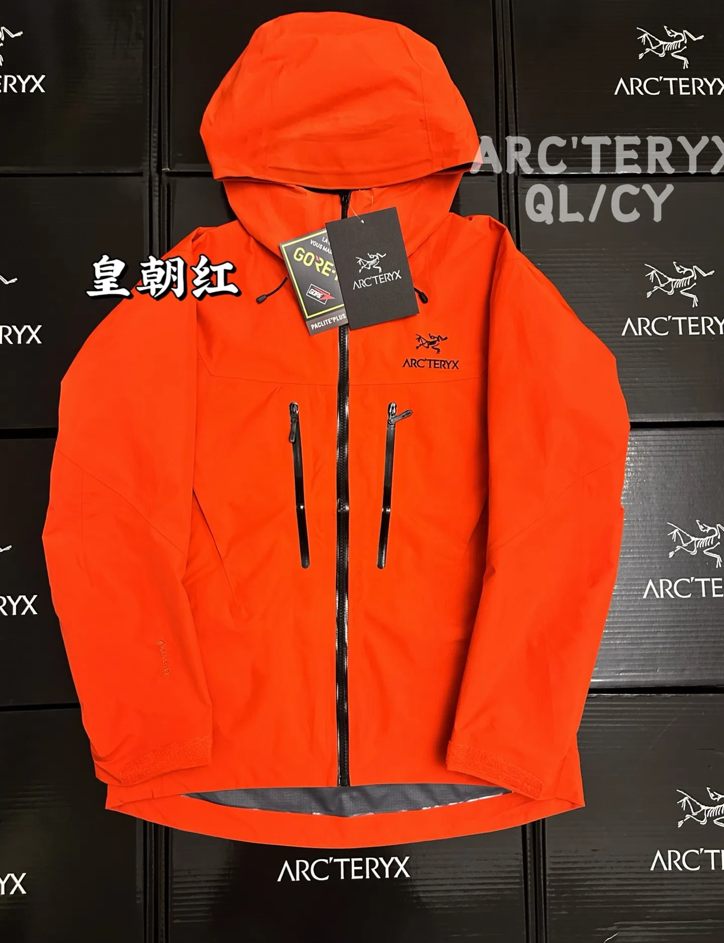 Alpha SV GORE-TEX Hooded Shell Jacket D42019581
