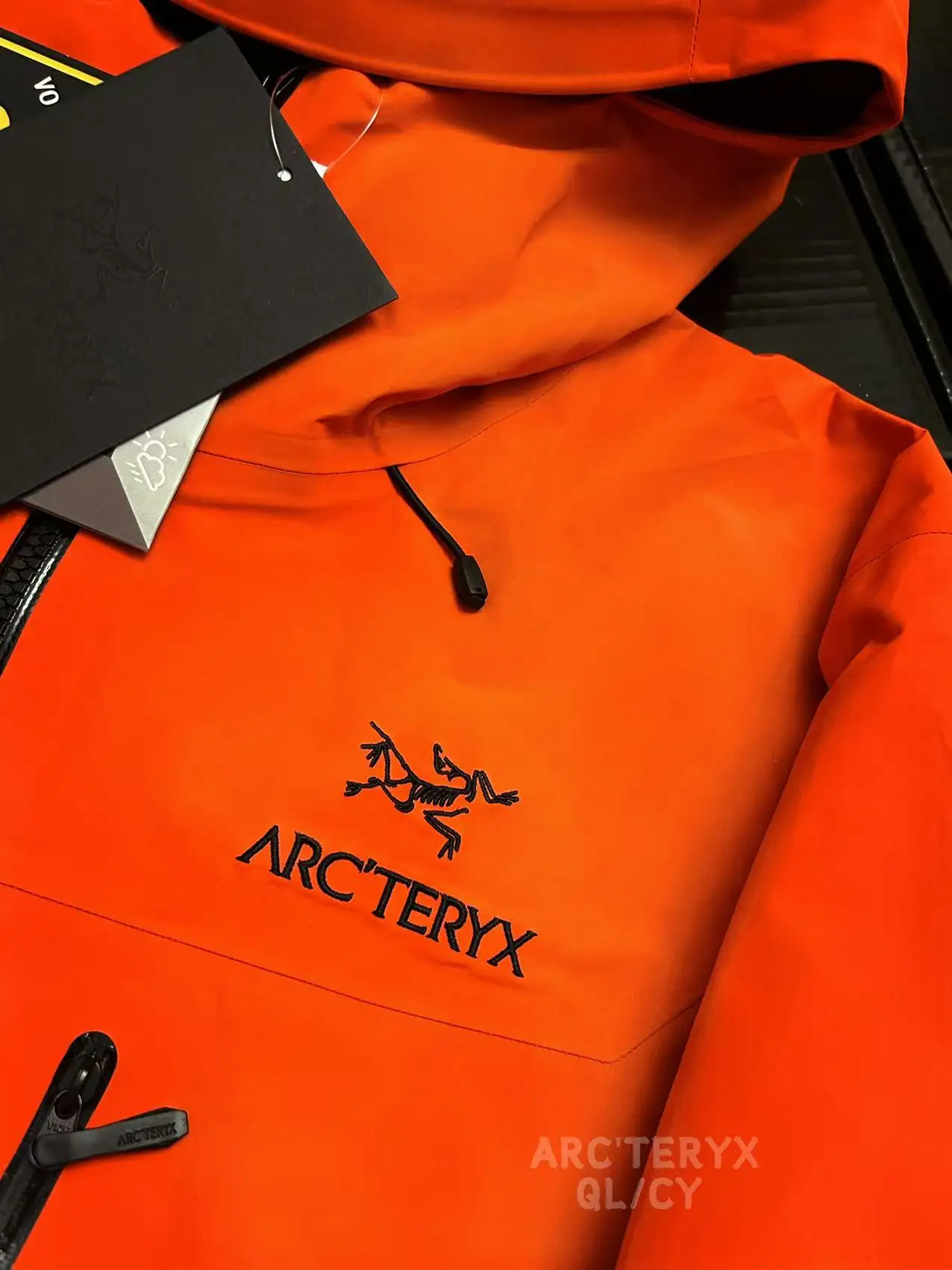 Alpha SV GORE-TEX Hooded Shell Jacket D42019581 — view 3
