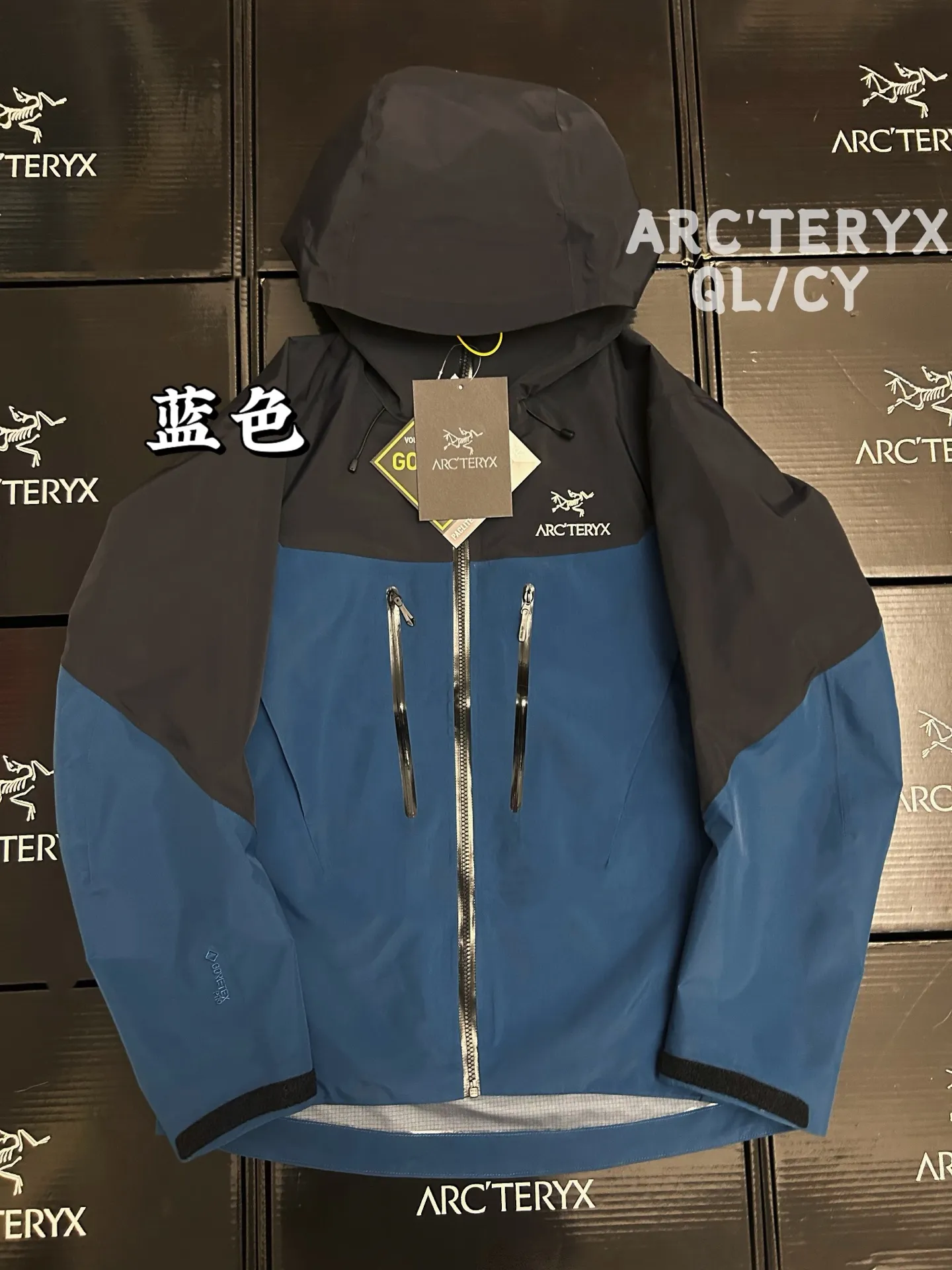 Alpha SV GORE-TEX Hooded Shell Jacket D42019583
