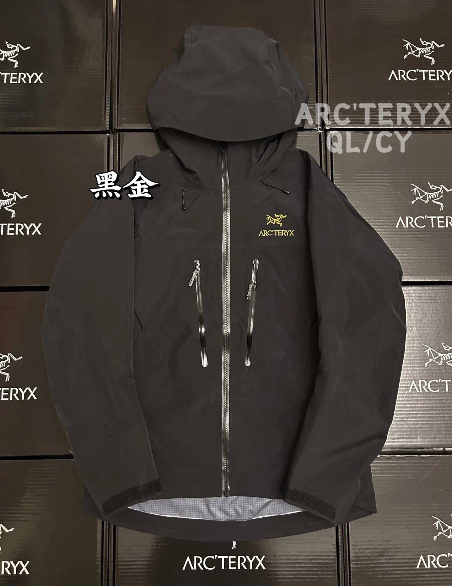 Alpha SV GORE-TEX Hooded Shell Jacket D42019584