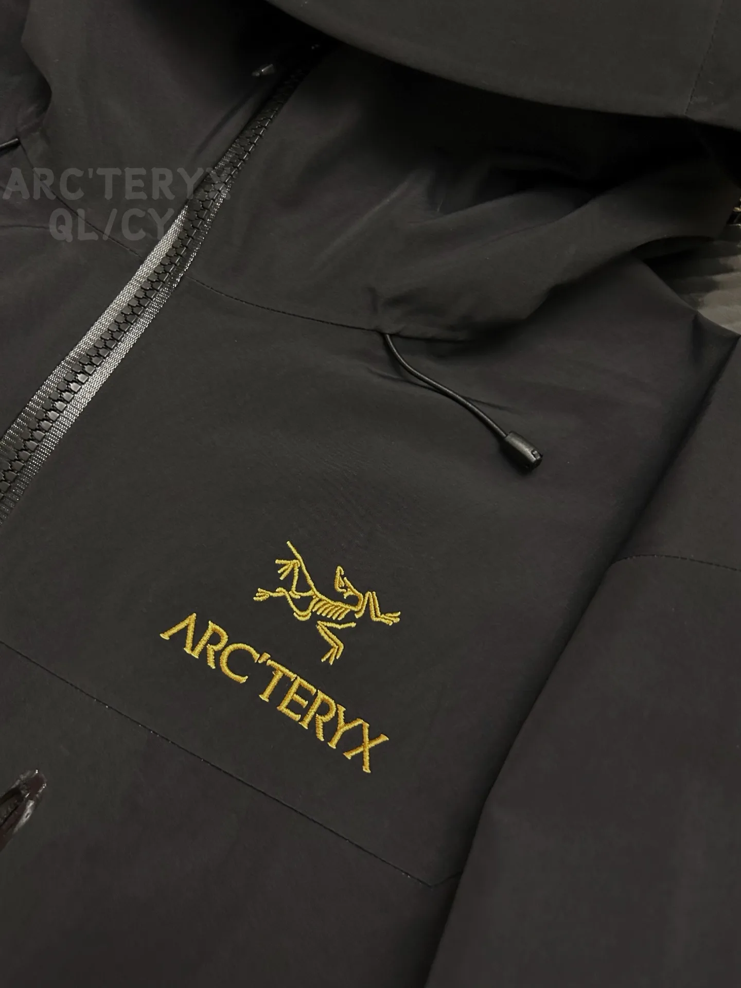 Alpha SV GORE-TEX Hooded Shell Jacket D42019584 — view 3