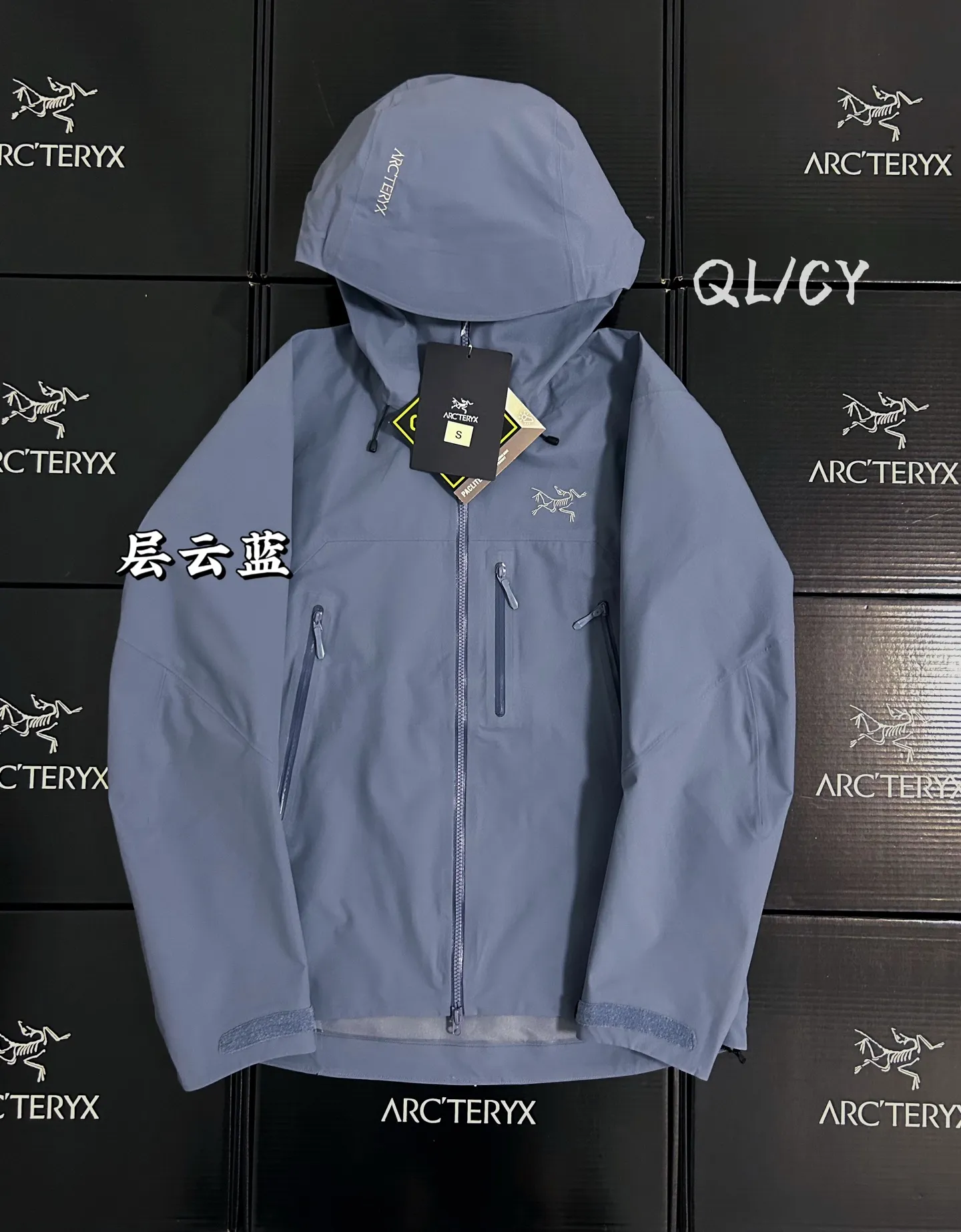 Beta SV GORE-TEX Pro Hooded Shell Jacket D42019601