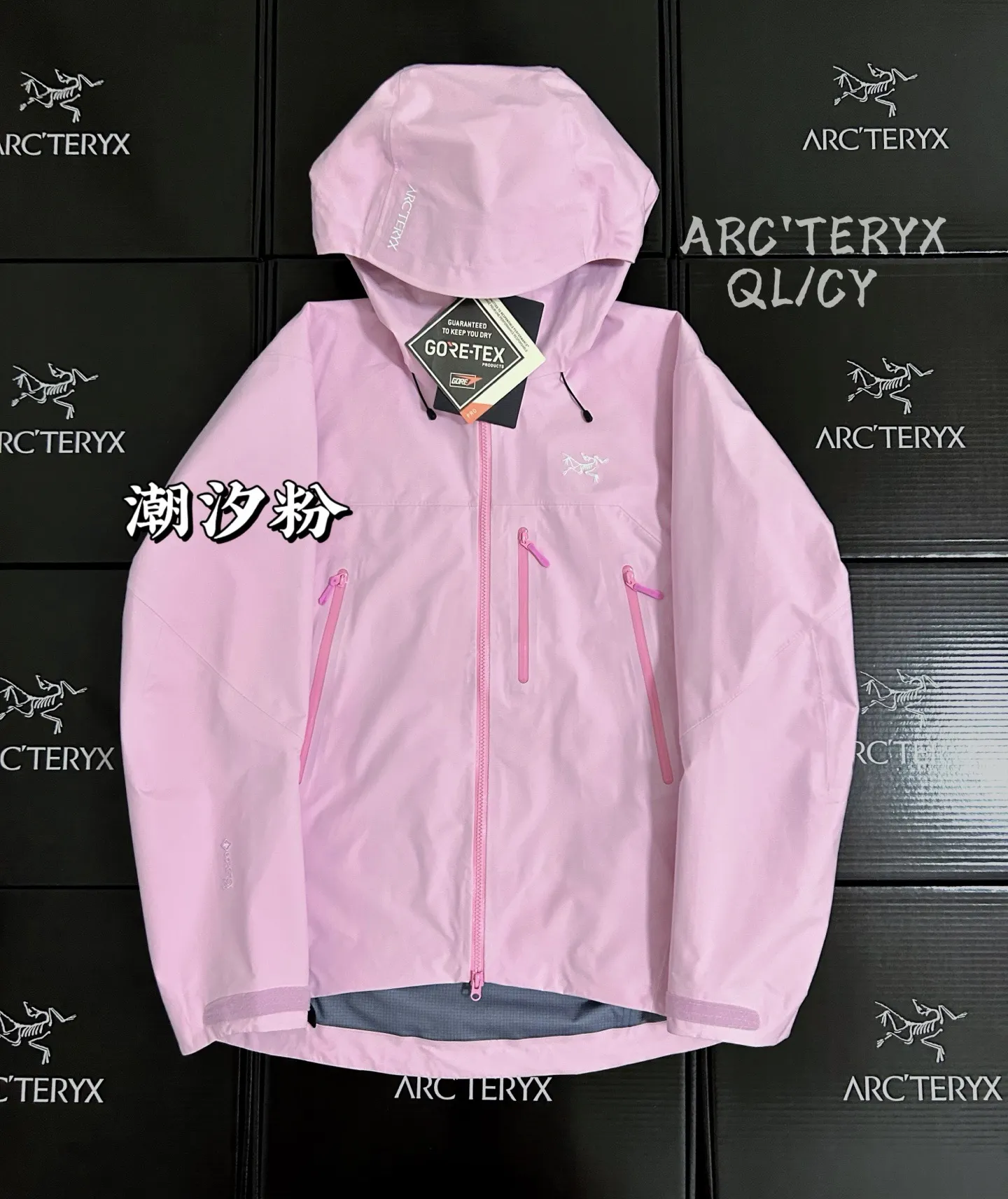 Beta SV GORE-TEX Pro Hooded Shell Jacket D42019605