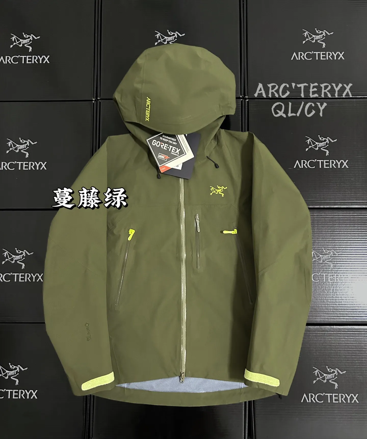Beta SV GORE-TEX Pro Hooded Shell Jacket D42019602