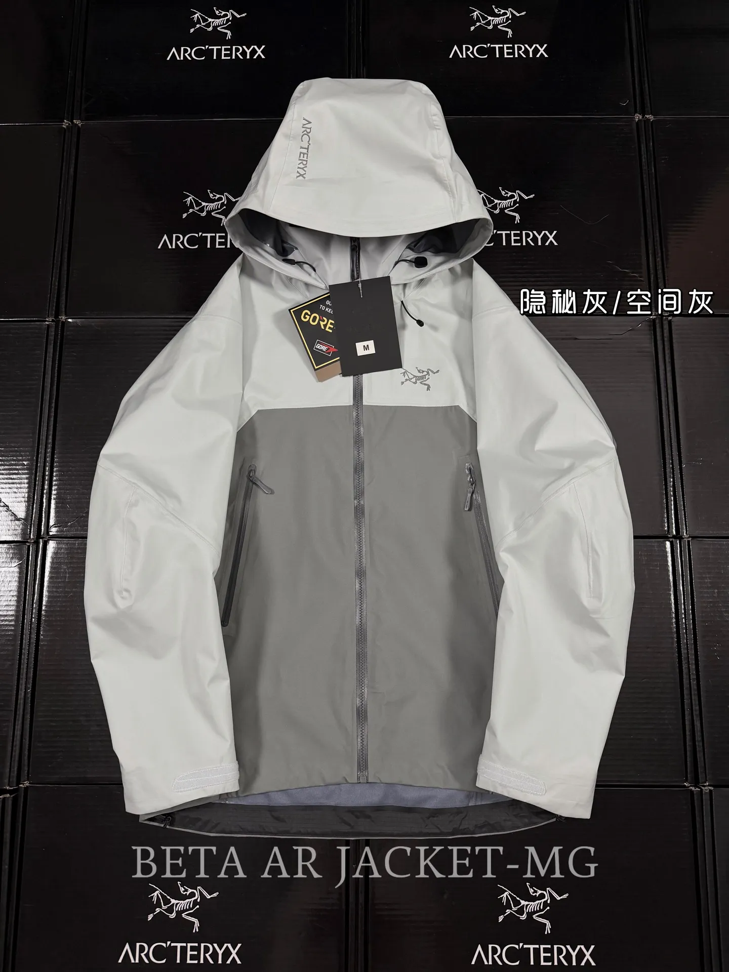 Beta AR GORE-TEX PRO Hooded Shell Jacket D43019498