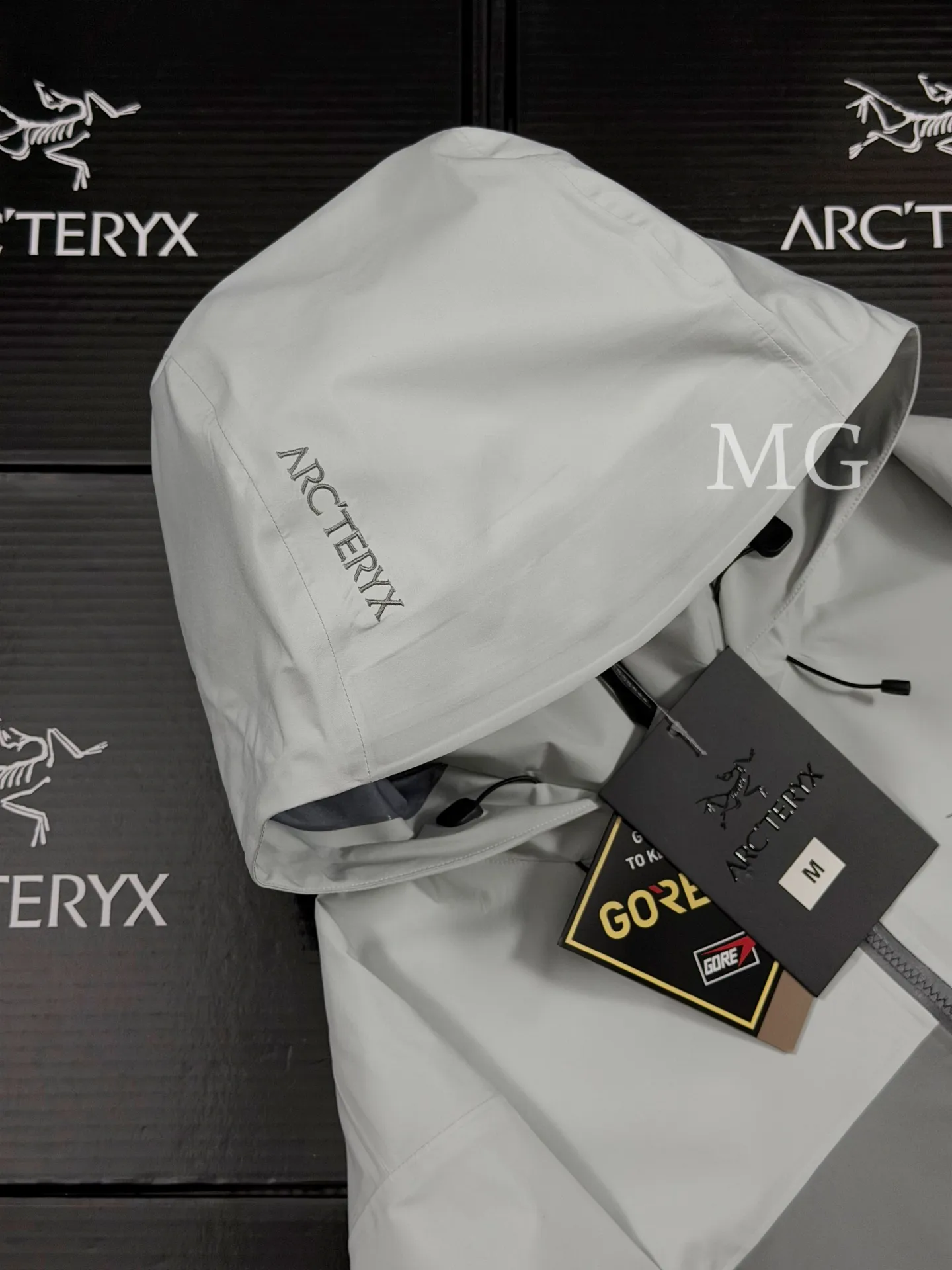 Beta AR GORE-TEX PRO Hooded Shell Jacket D43019498 — view 3