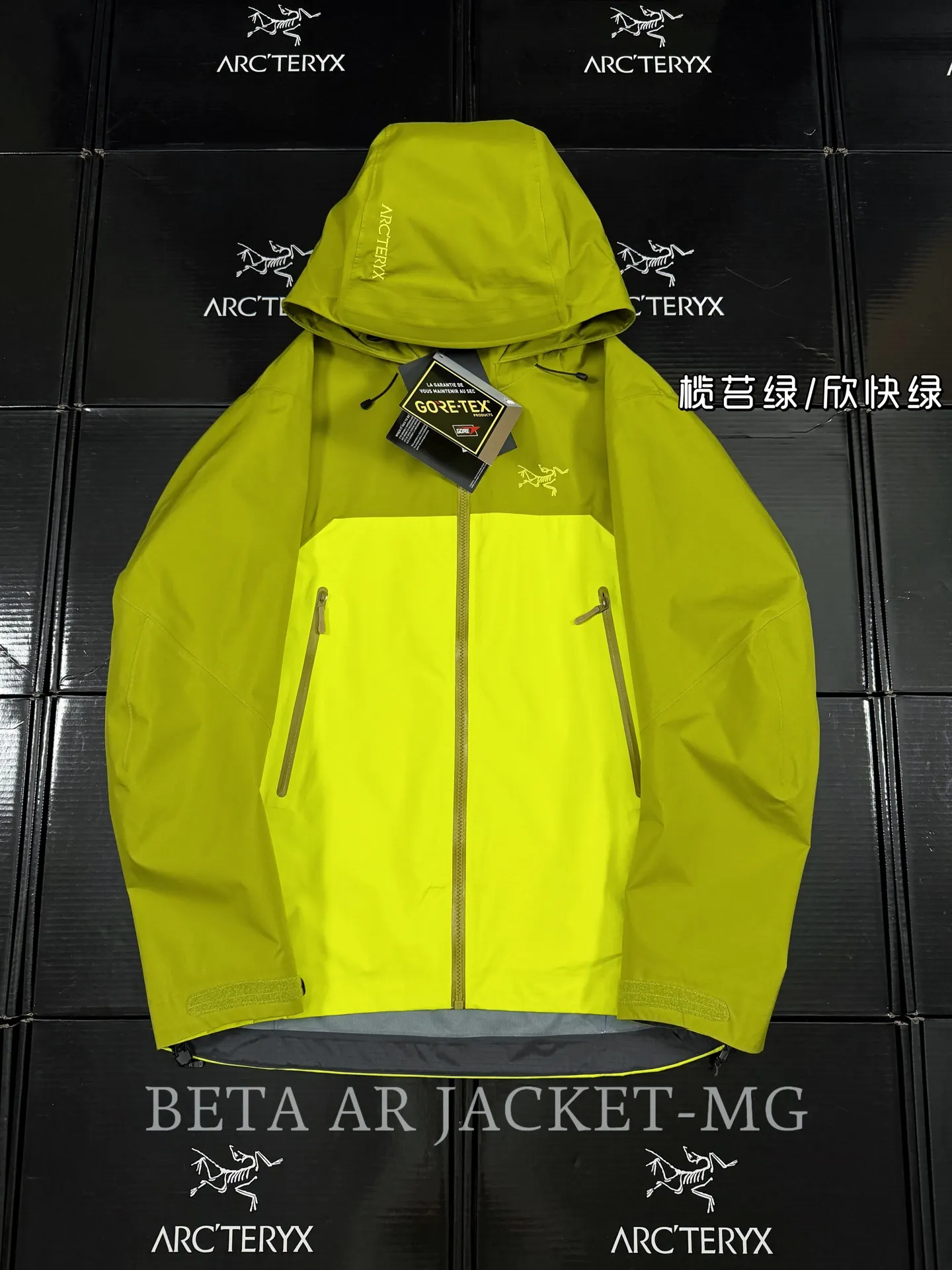 Beta AR GORE-TEX PRO Hooded Shell Jacket D43019497