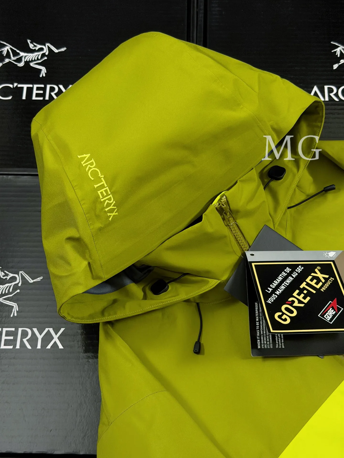 Beta AR GORE-TEX PRO Hooded Shell Jacket D43019497 — view 3