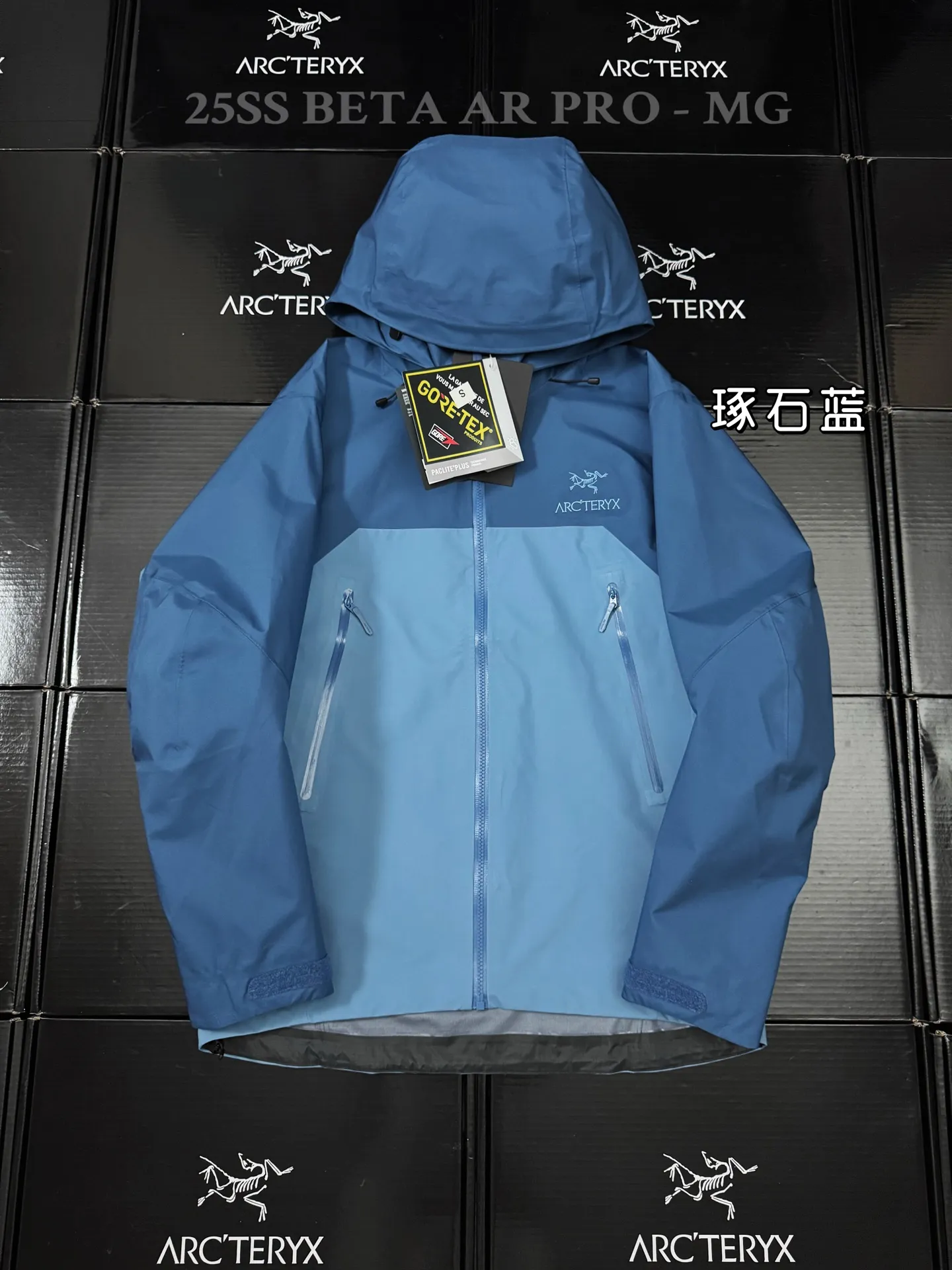 Beta AR GORE-TEX PRO Hooded Shell Jacket D43019504