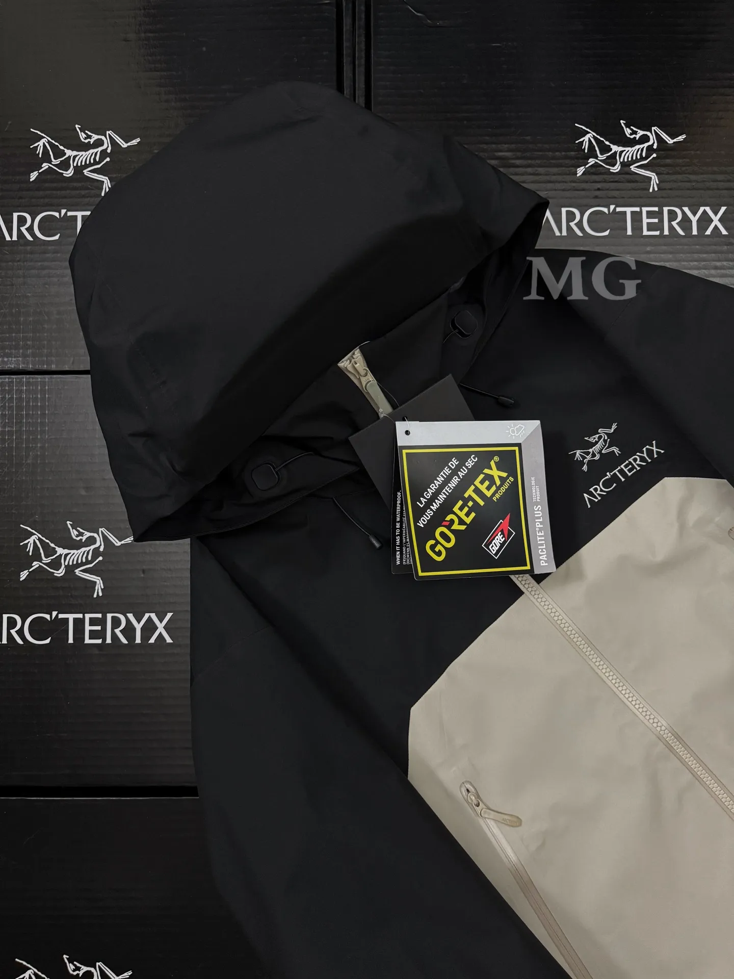 Beta AR GORE-TEX PRO Hooded Shell Jacket D43019502 — view 3