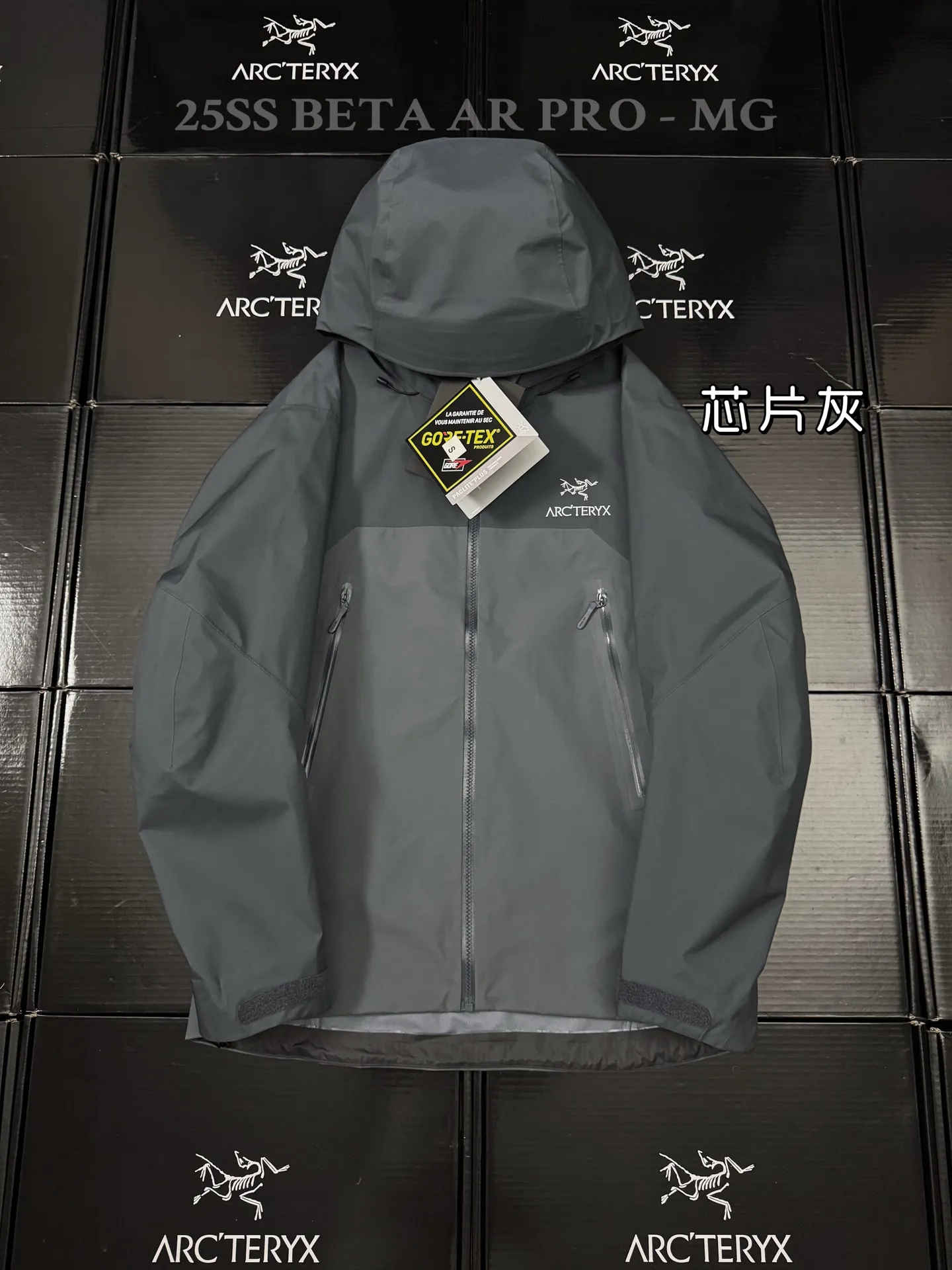 Beta AR GORE-TEX PRO Hooded Shell Jacket D43019500