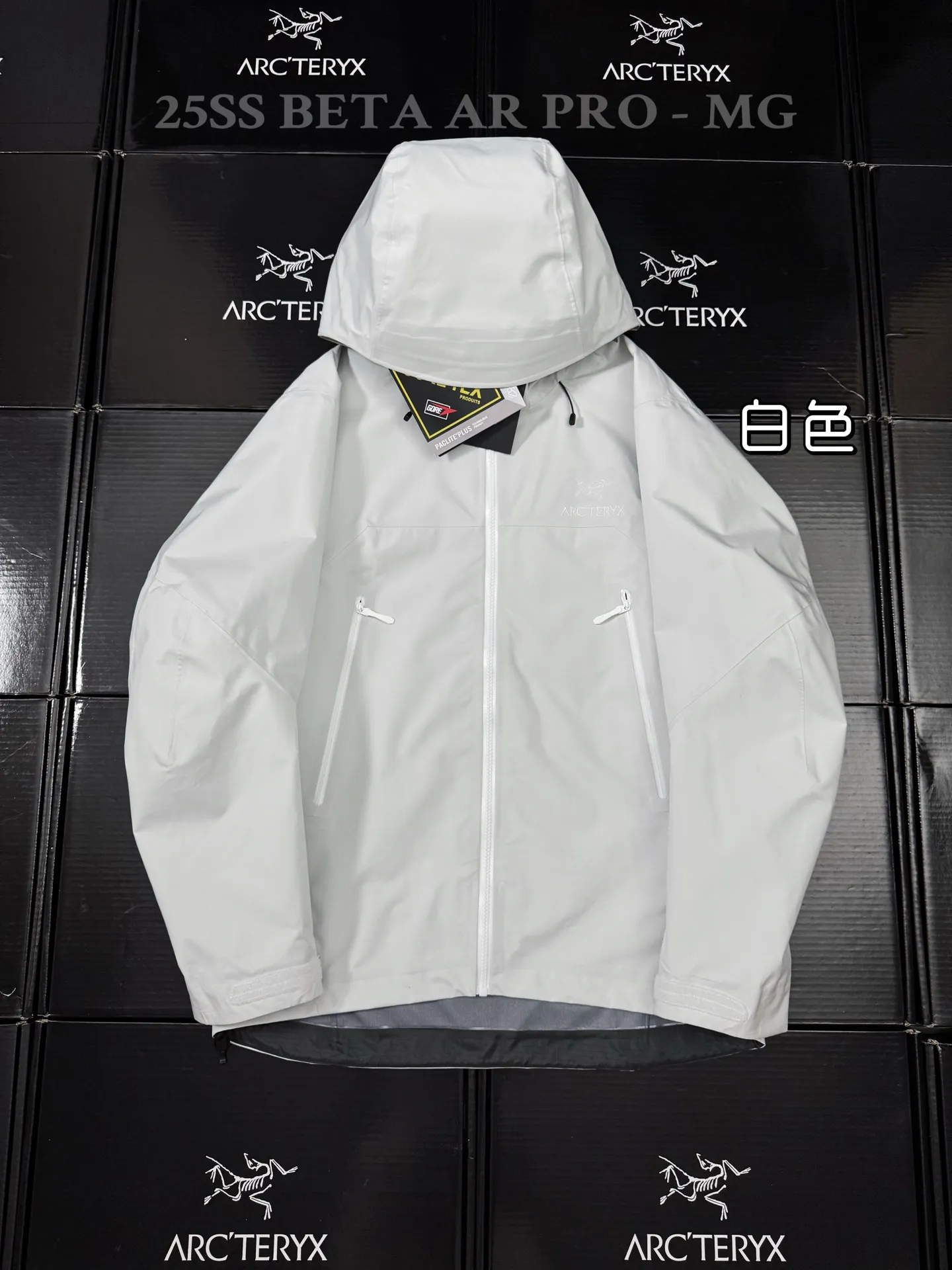 Beta AR GORE-TEX PRO Hooded Shell Jacket D43019501