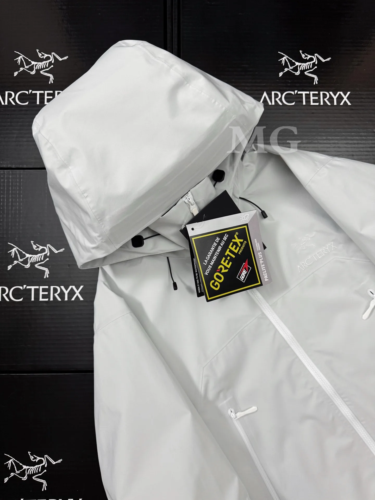 Beta AR GORE-TEX PRO Hooded Shell Jacket D43019501 — view 3