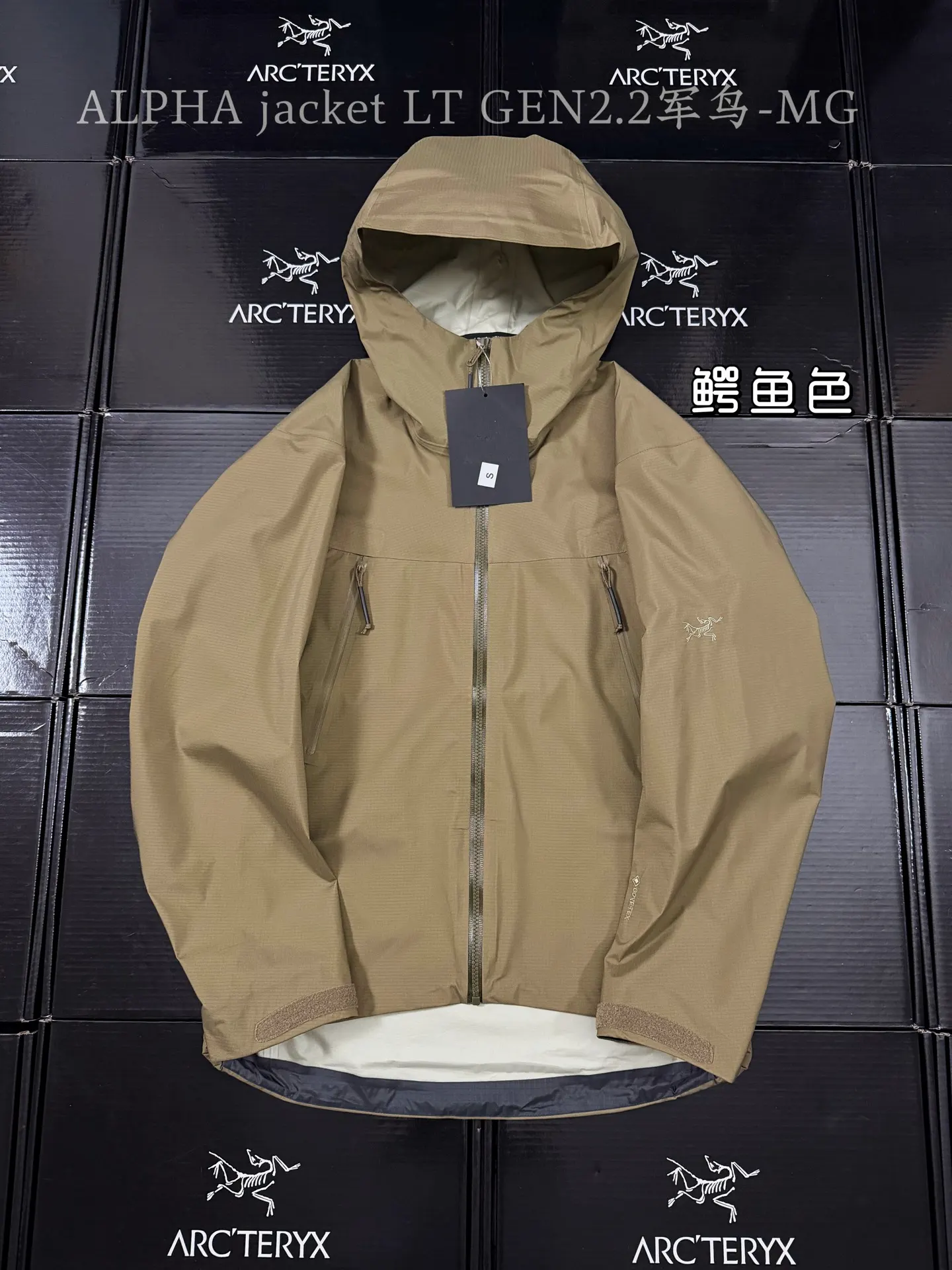 Alpha LT GORE-TEX Hooded Shell Jacket D43019521