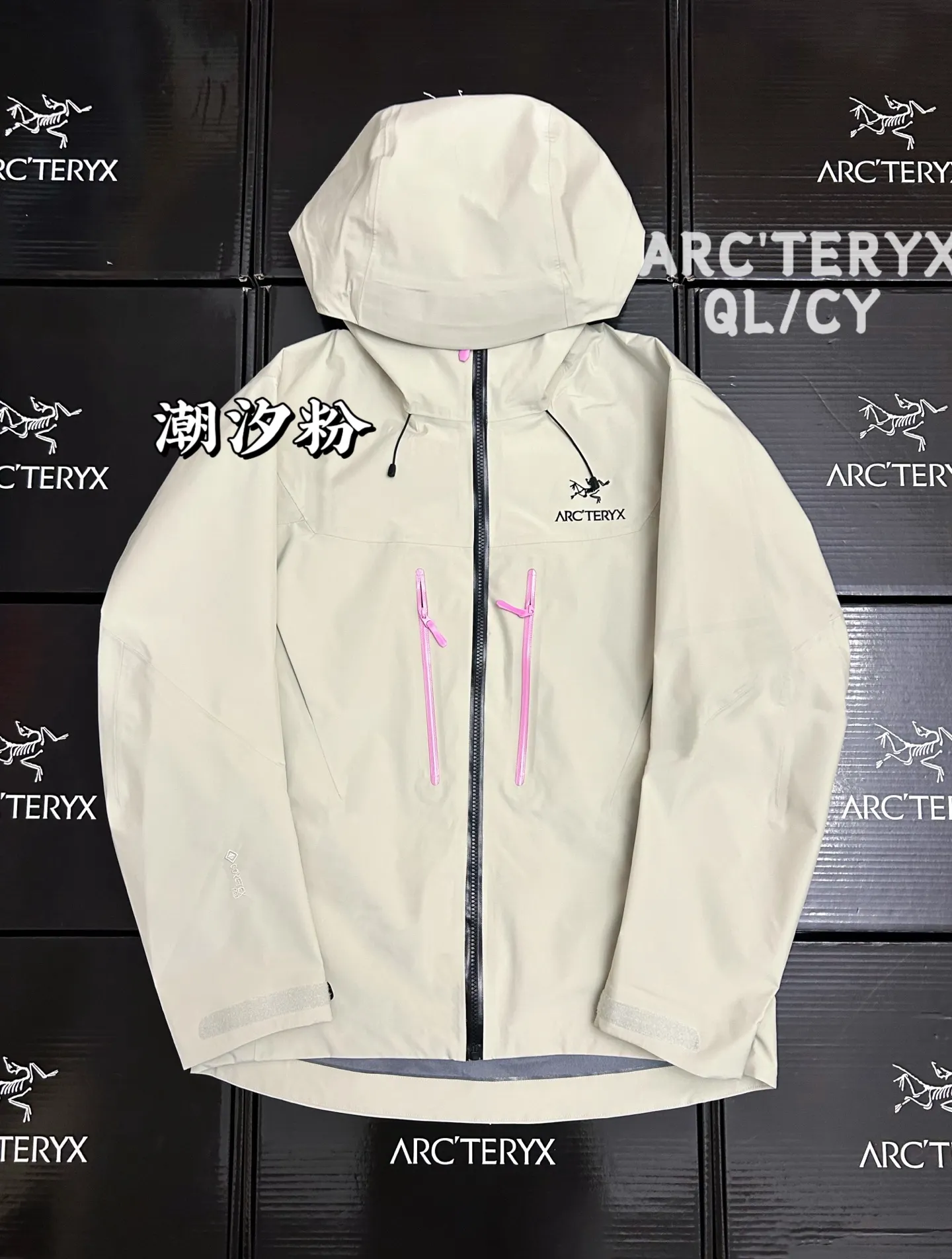 Alpha SV GORE-TEX Hooded Shell Jacket D45019586