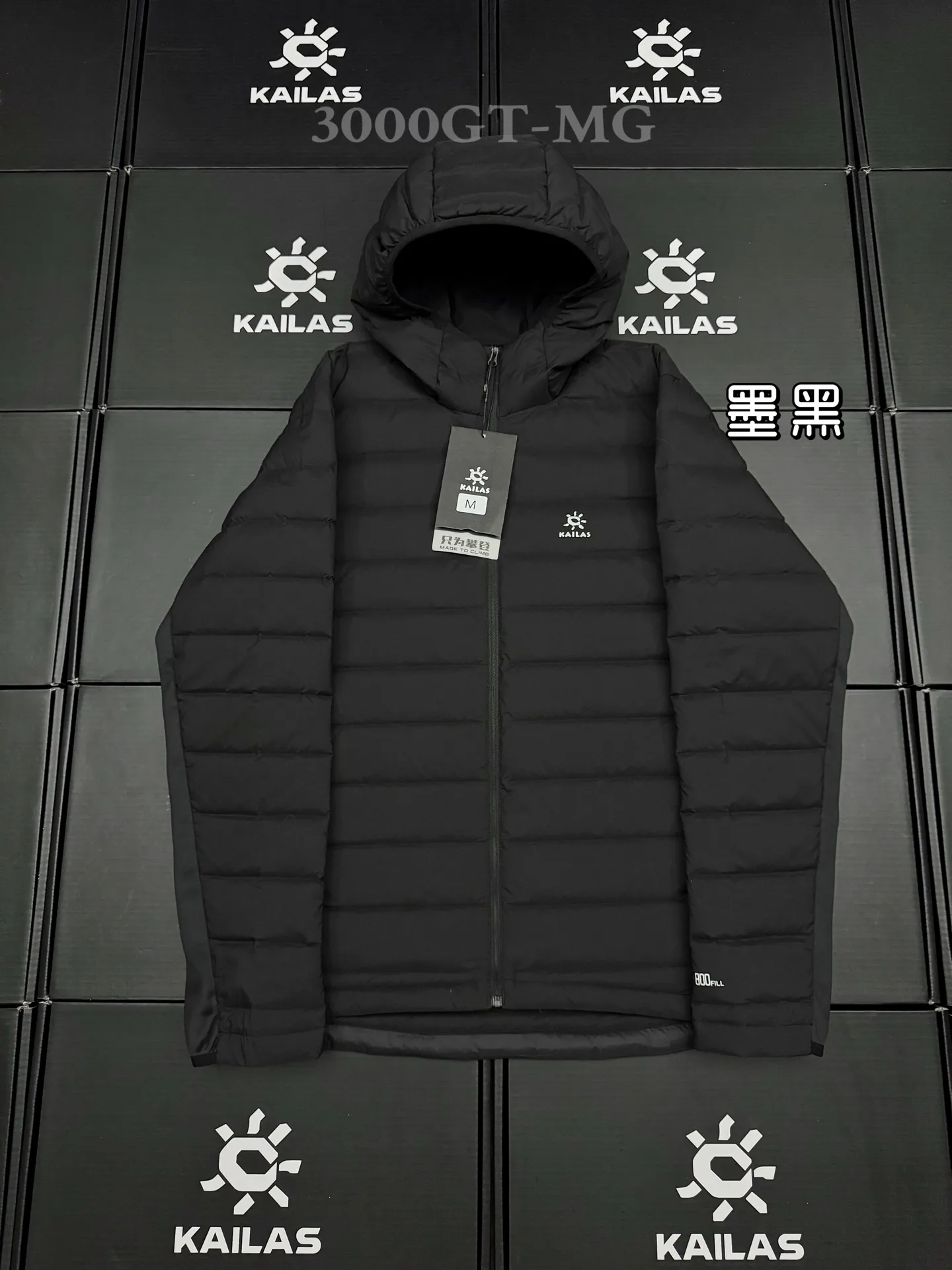 3000GT Lightweight Hooded Down Jacket D46019395