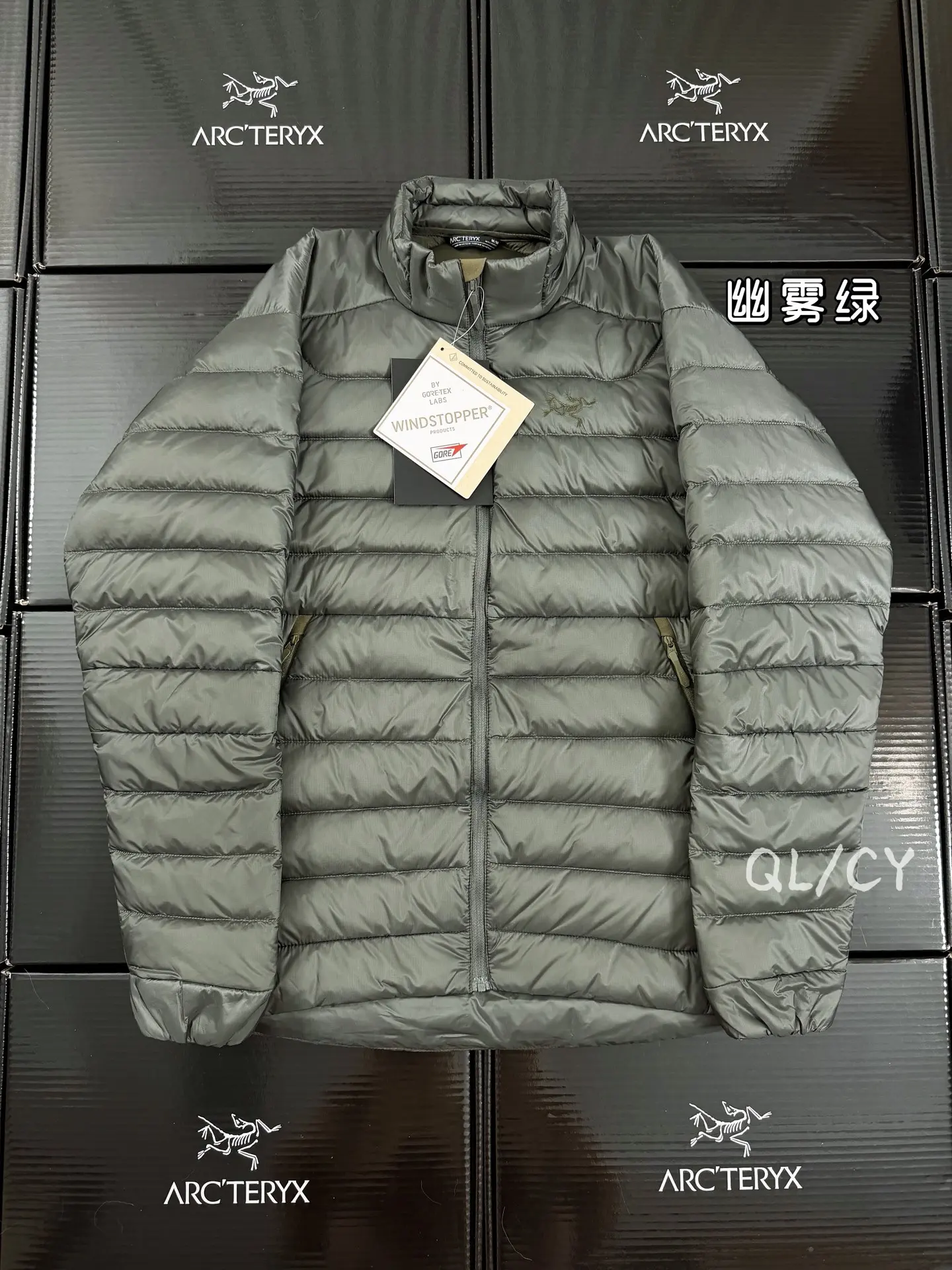 Arc'teryx Cerium Lightweight Down Jacket D46019669