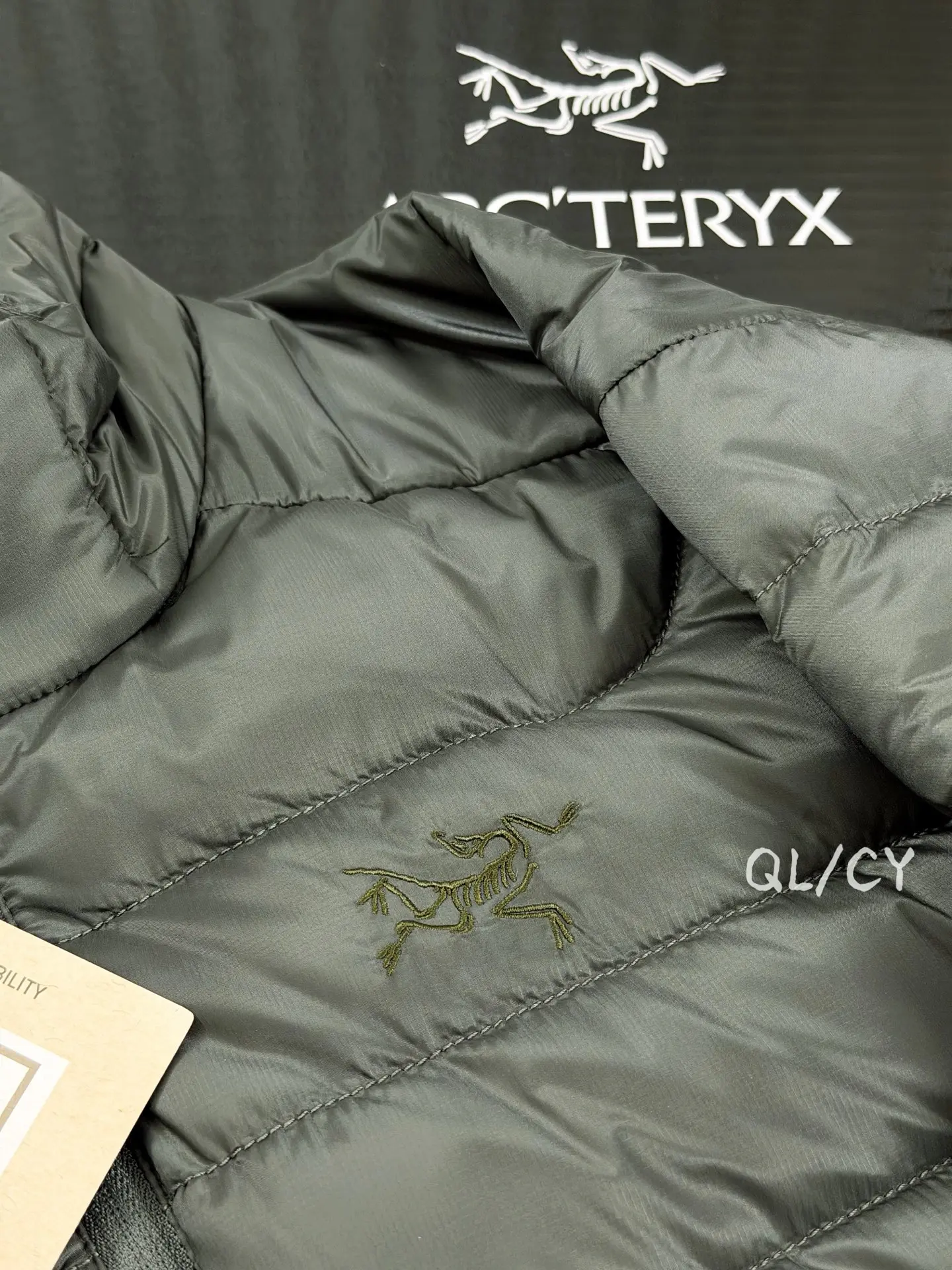 Arc'teryx Cerium Lightweight Down Jacket D46019669 — view 3