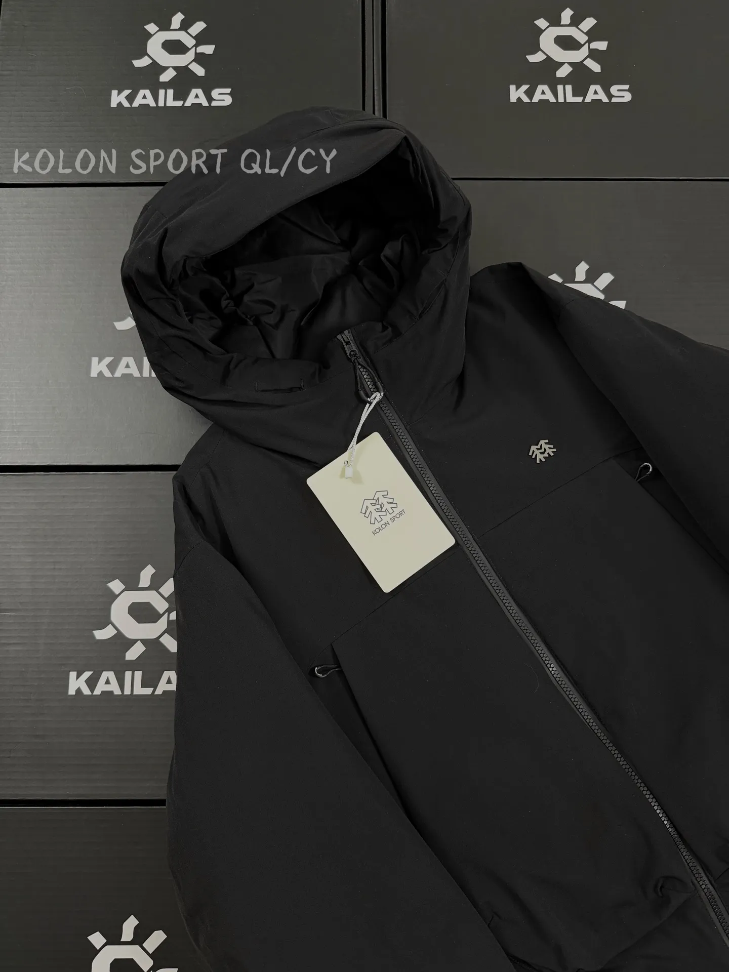 GORE-TEX 800-Fill Goose Down Hooded Jacket D51019675 — view 3