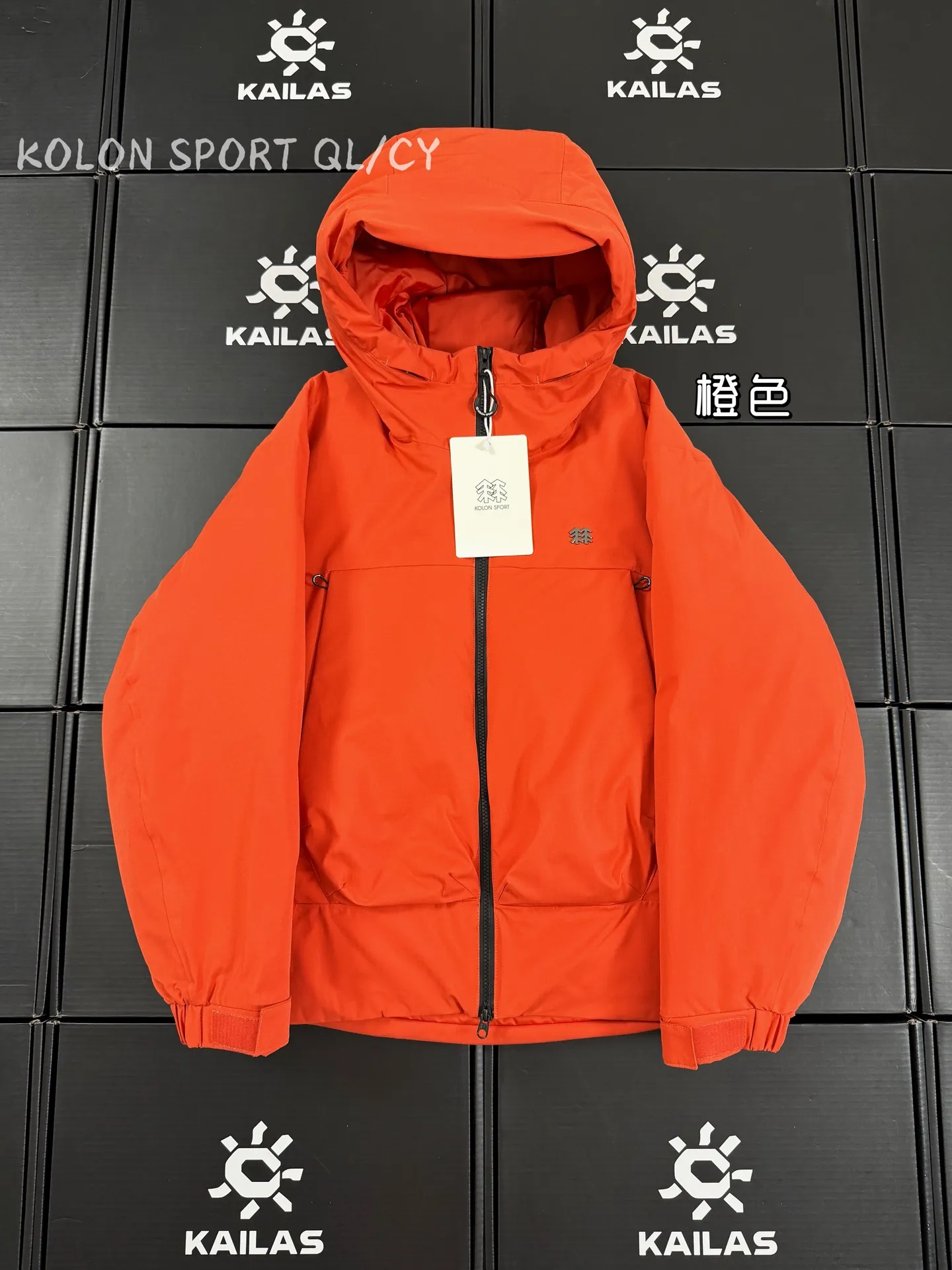 GORE-TEX 800-Fill Goose Down Hooded Jacket D51019617