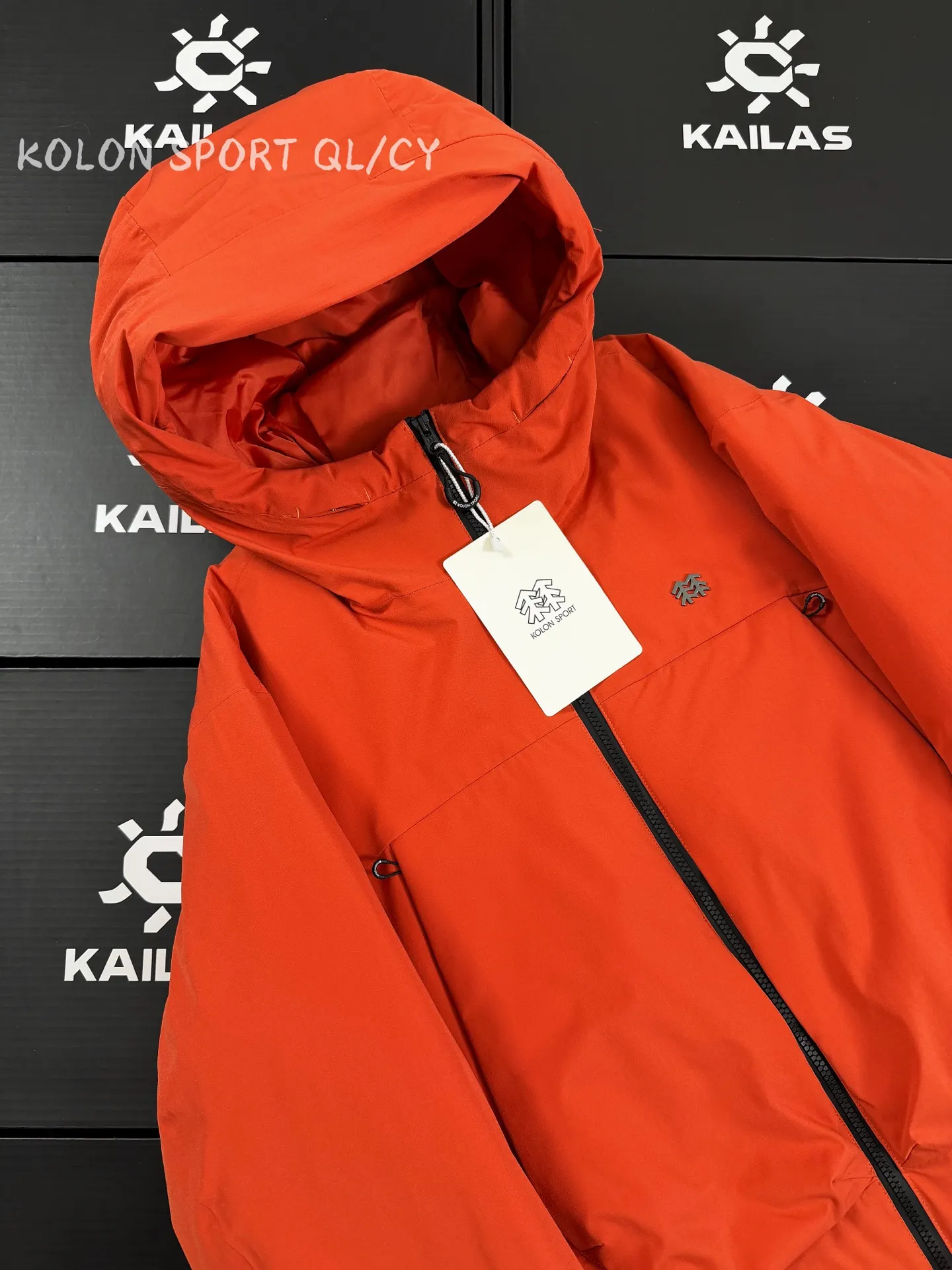 GORE-TEX 800-Fill Goose Down Hooded Jacket D51019617 — view 3