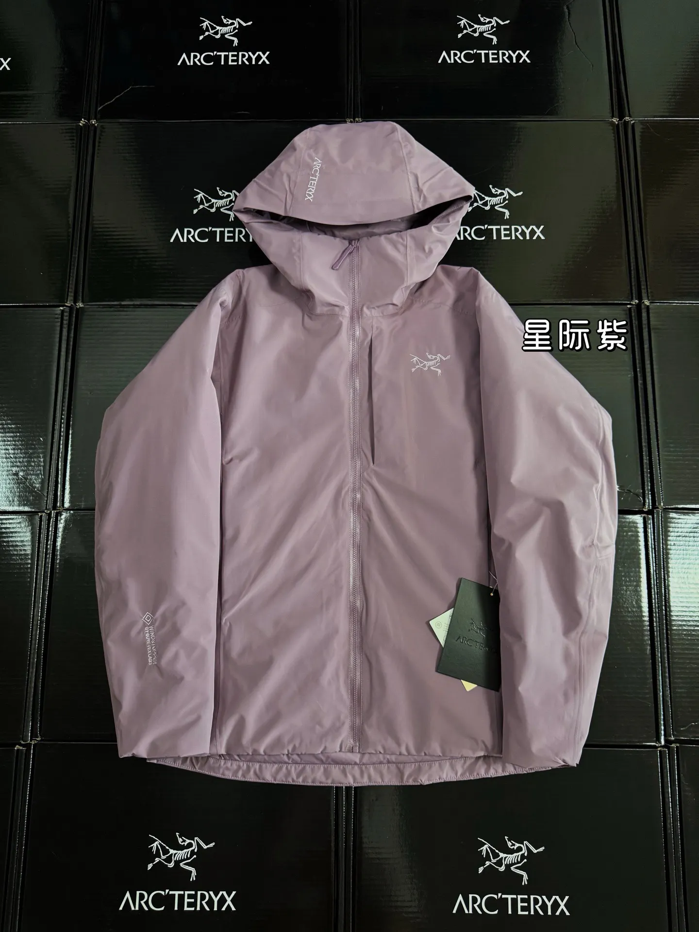 Solano GORE-TEX Down-Filled Hooded Jacket D52019587