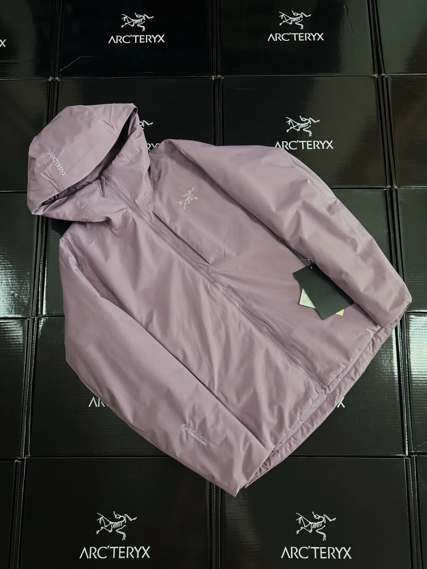 Solano GORE-TEX Down-Filled Hooded Jacket D52019587 — view 2