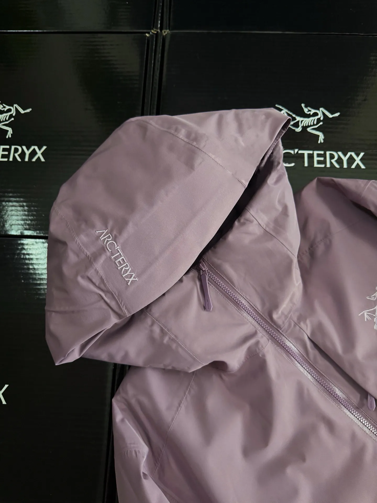 Solano GORE-TEX Down-Filled Hooded Jacket D52019587 — view 4