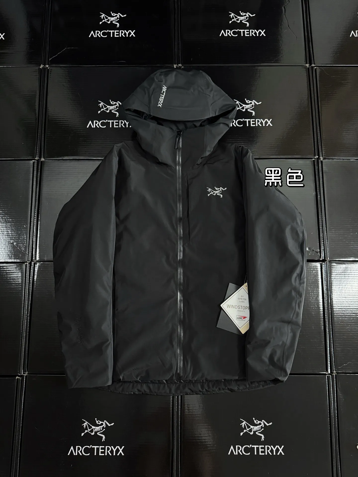 Solano GORE-TEX Down-Filled Hooded Jacket D52019590