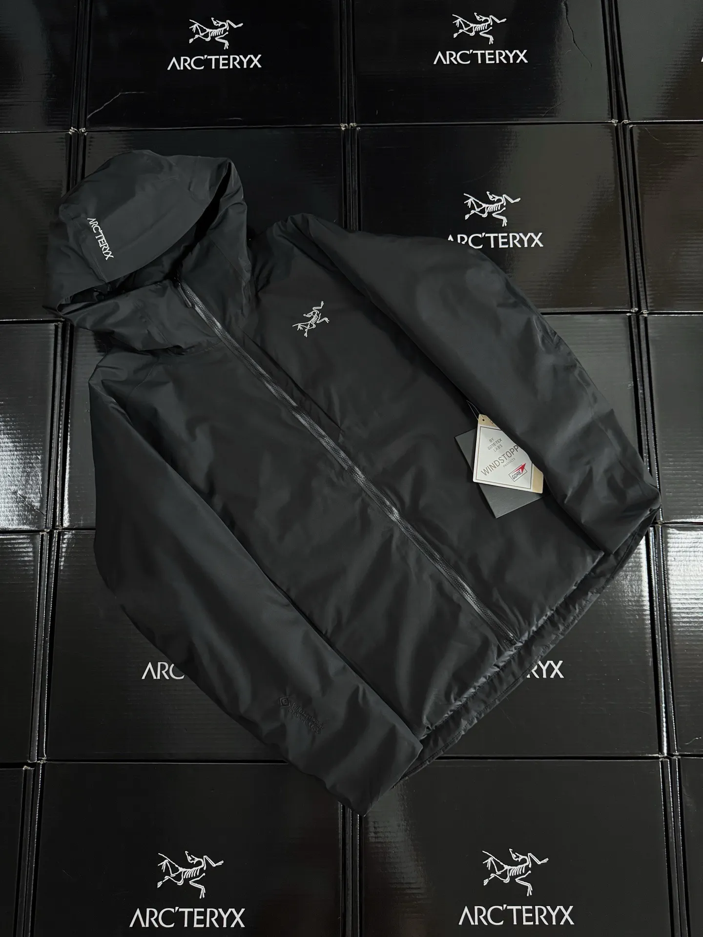 Solano GORE-TEX Down-Filled Hooded Jacket D52019590 — view 2