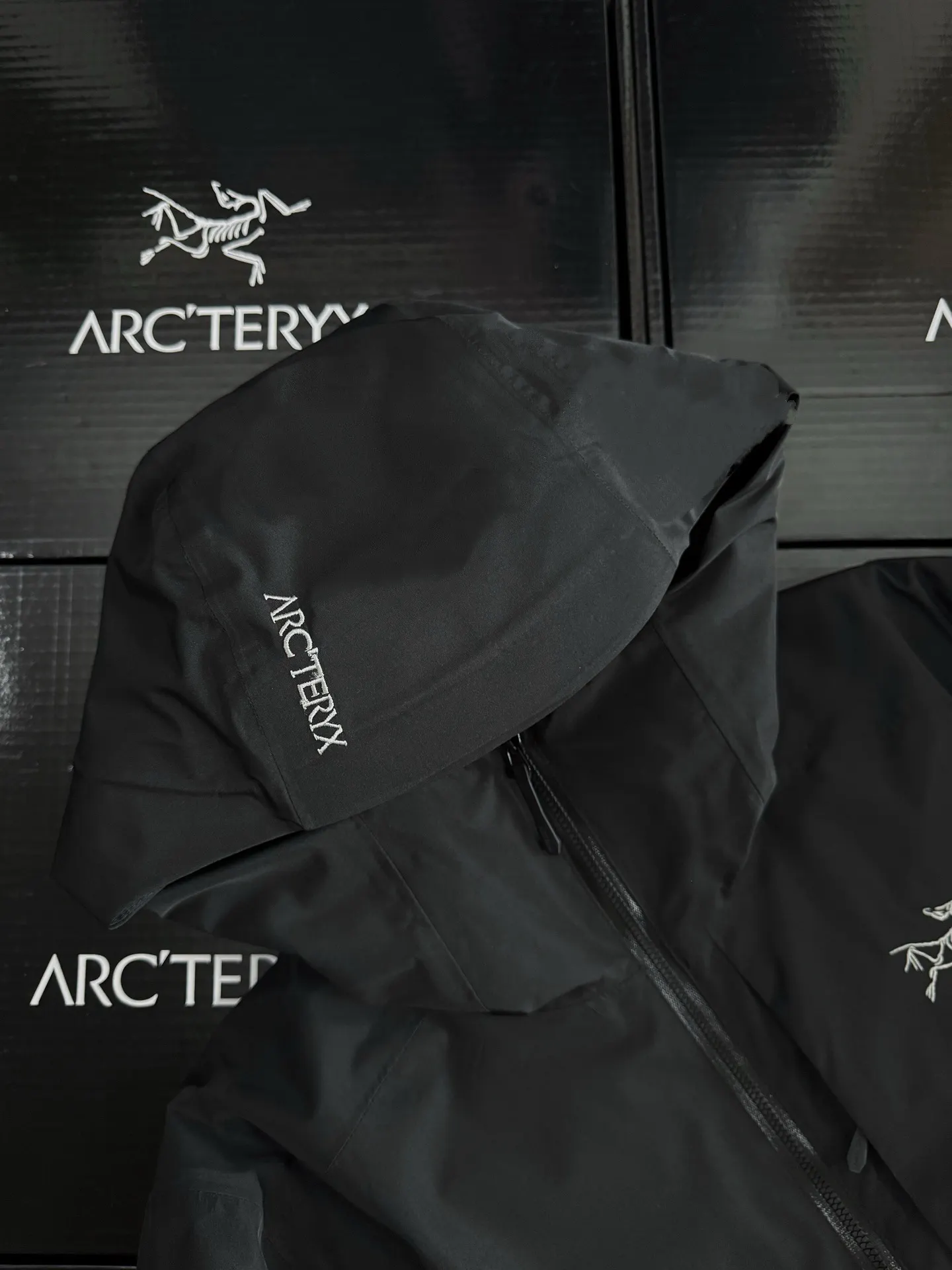 Solano GORE-TEX Down-Filled Hooded Jacket D52019590 — view 3