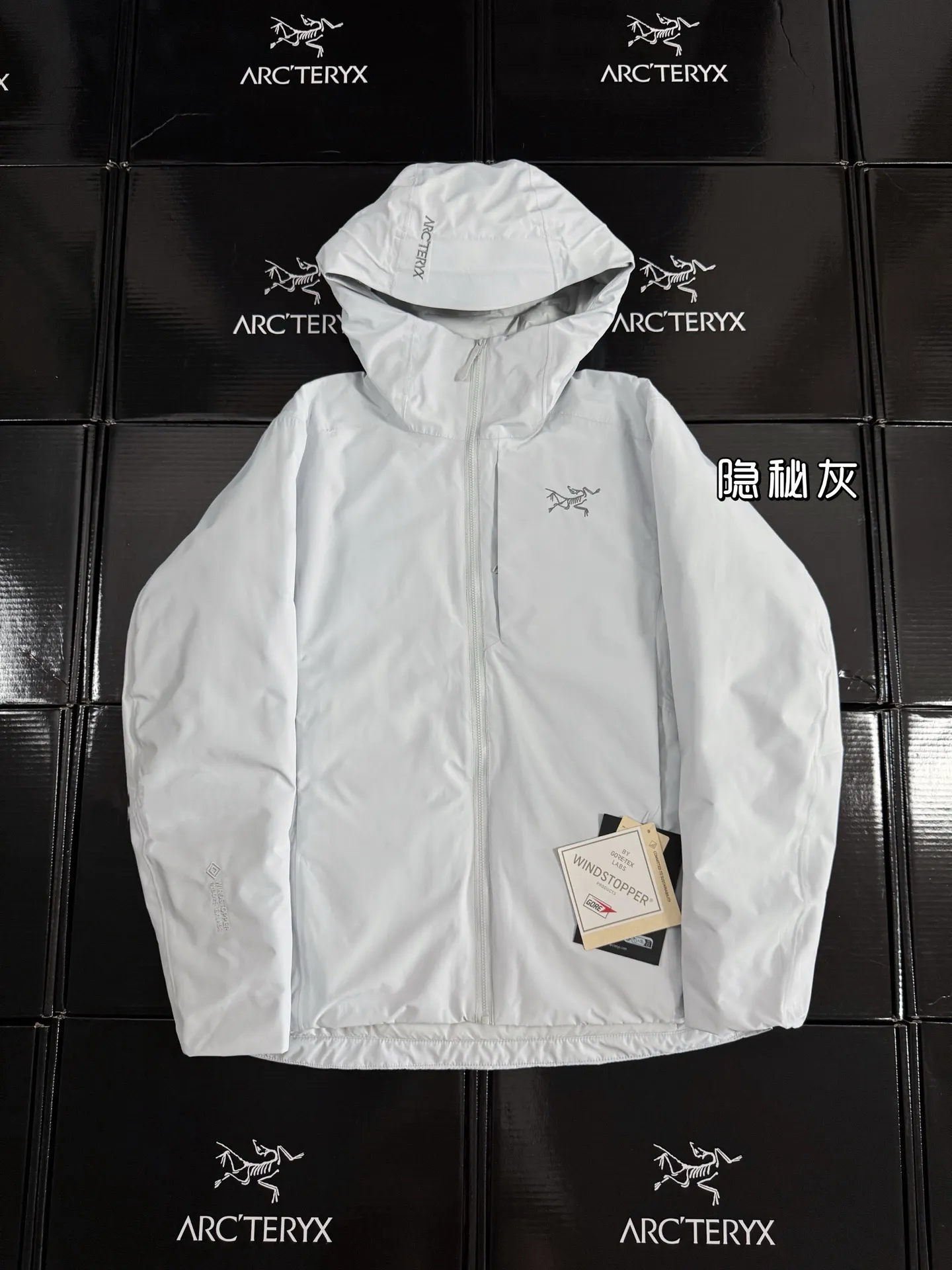 Solano GORE-TEX Down-Filled Hooded Jacket D52019589