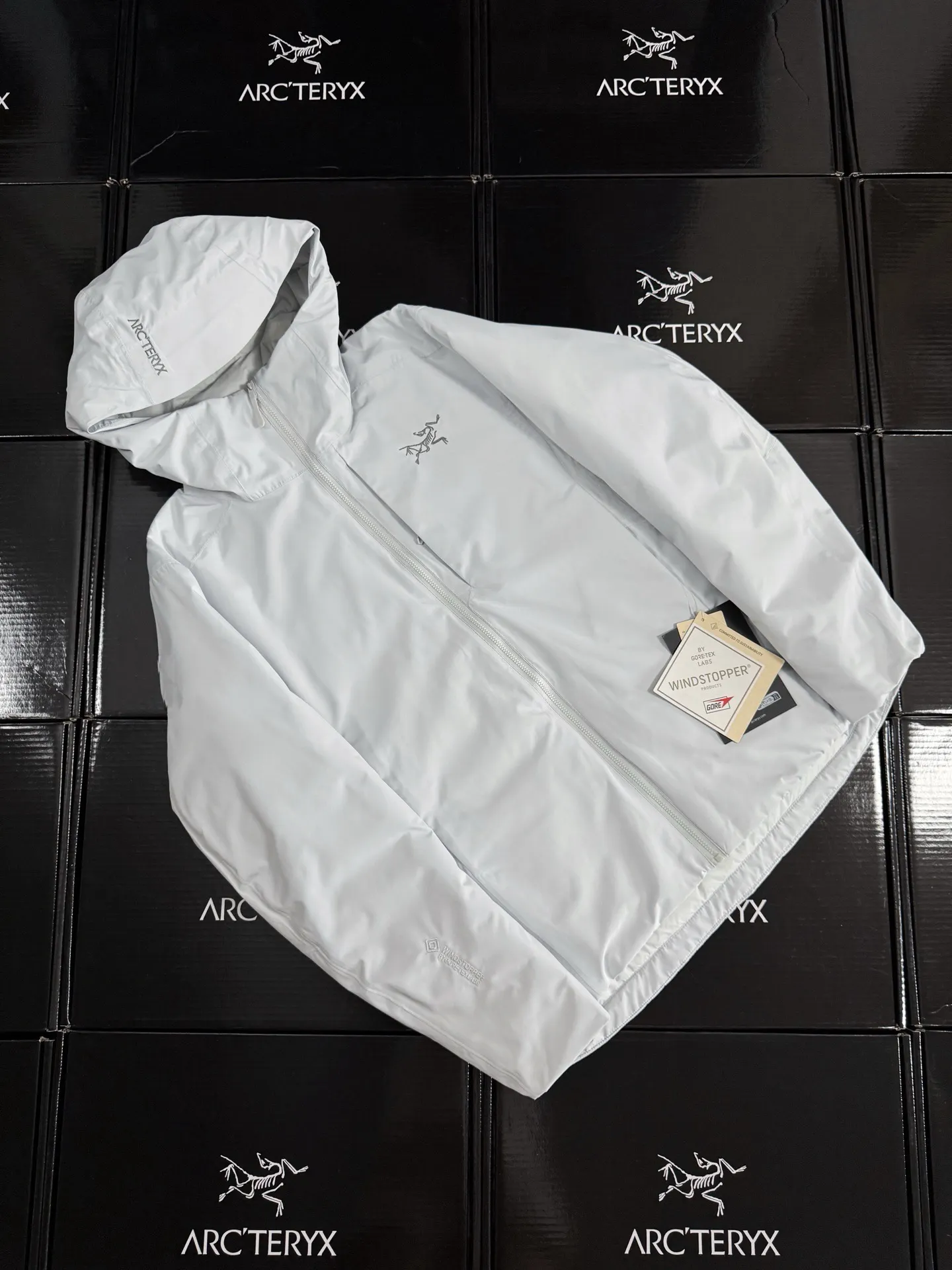 Solano GORE-TEX Down-Filled Hooded Jacket D52019589 — view 2