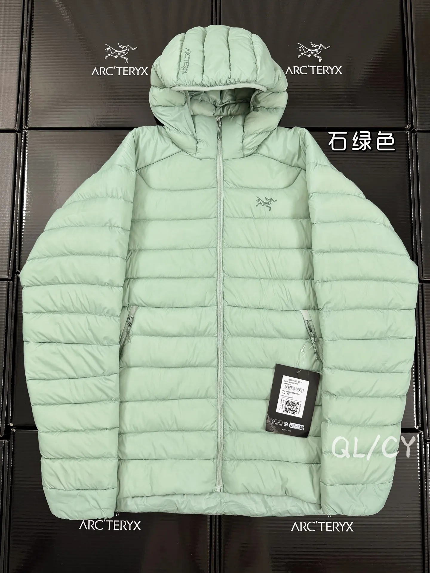 Cerium Hooded Down Puffer Jacket D52019657