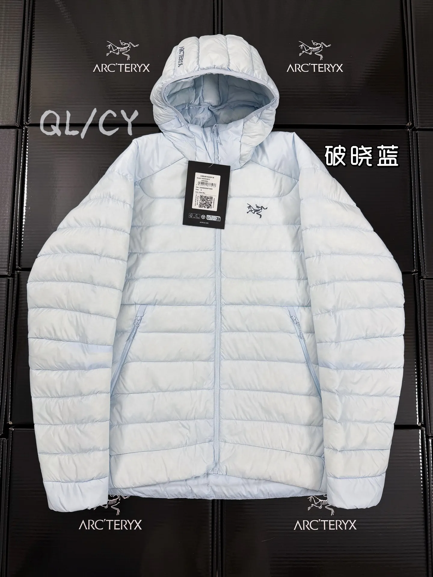 Cerium Hooded Down Puffer Jacket D52019656