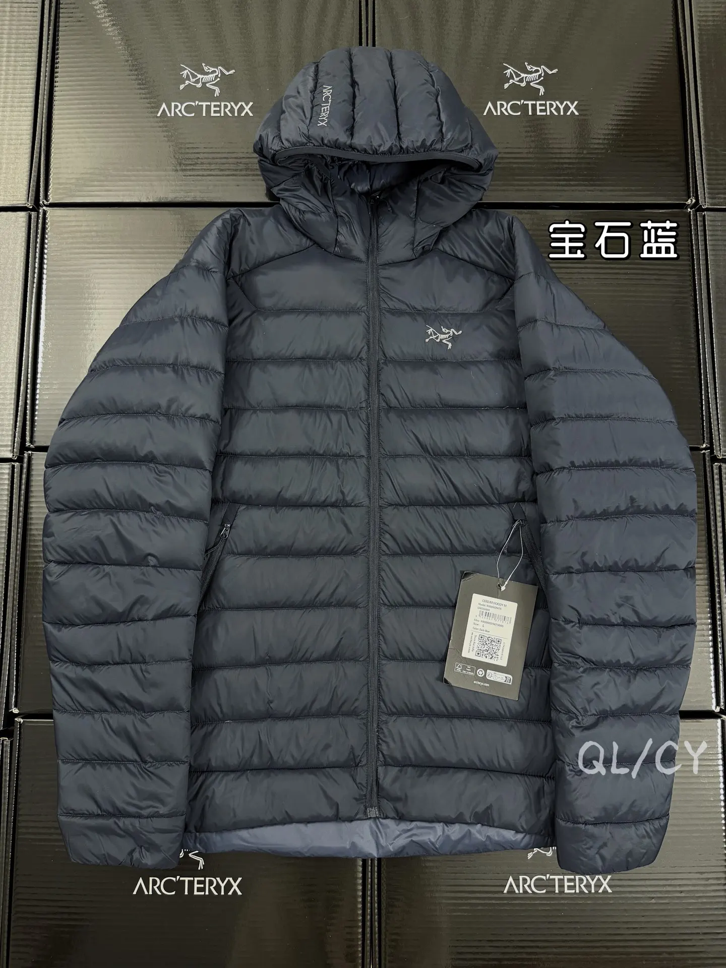 Cerium Hooded Down Puffer Jacket D52019659