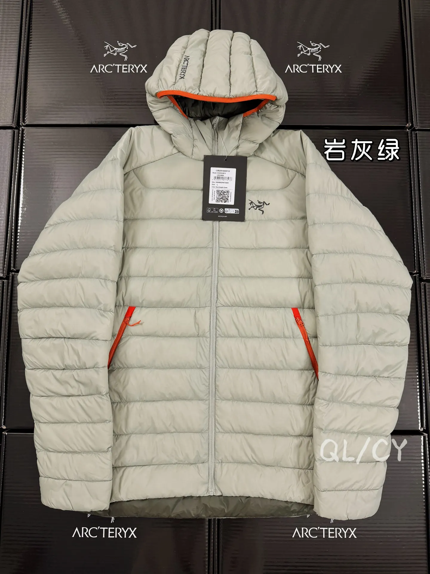Cerium Hooded Down Puffer Jacket D52019658