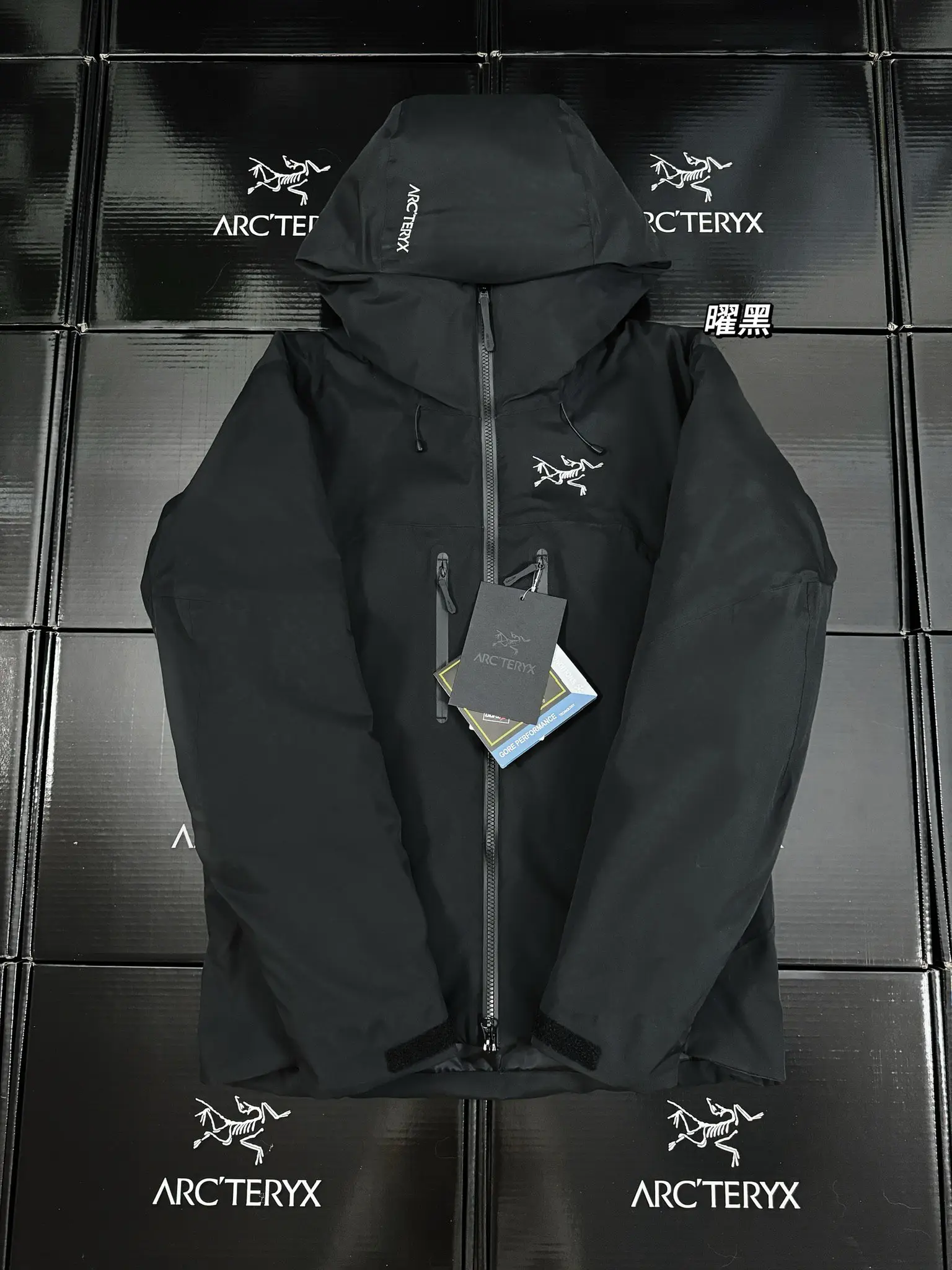 Beta Down Insulated GORE-TEX Jacket D52019277