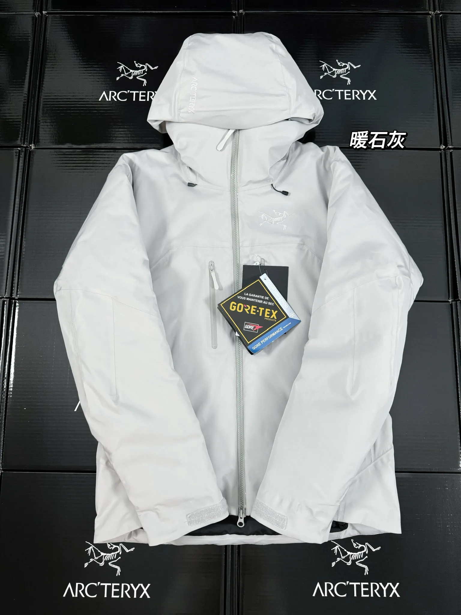 Beta Down Insulated GORE-TEX Jacket D52019276