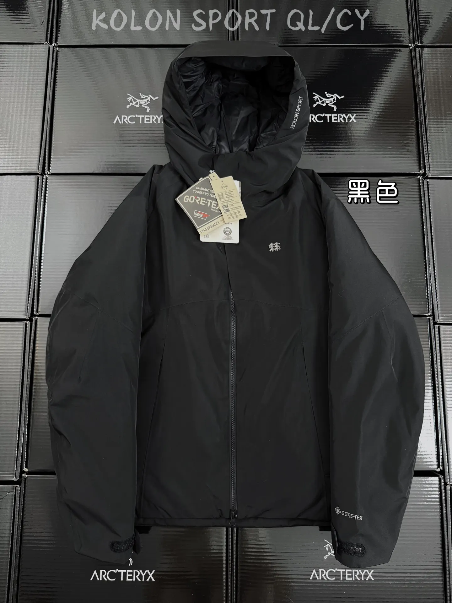 GORE-TEX 800-Fill Goose Down Hardshell Puffer Jacket D58019665