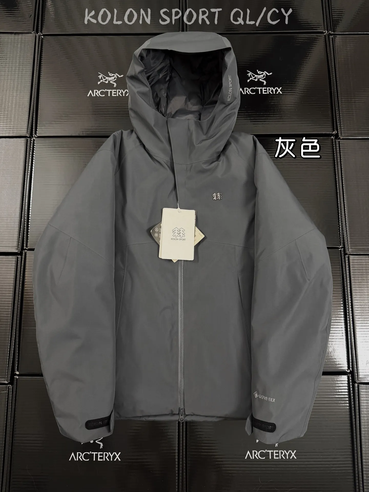 GORE-TEX 800-Fill Goose Down Hardshell Puffer Jacket D58019666