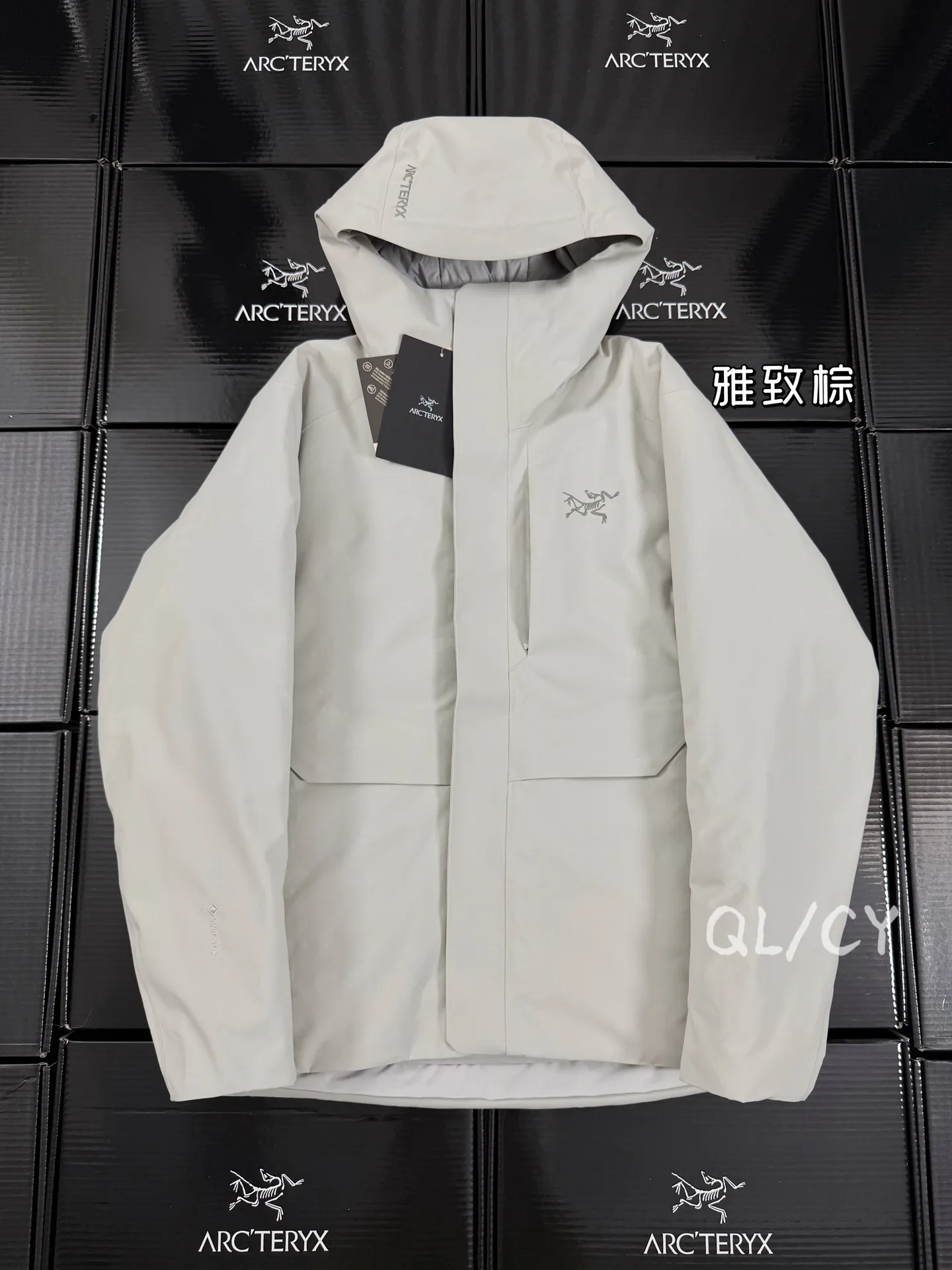 Therme GORE-TEX Down-Filled Hooded Jacket D58019671