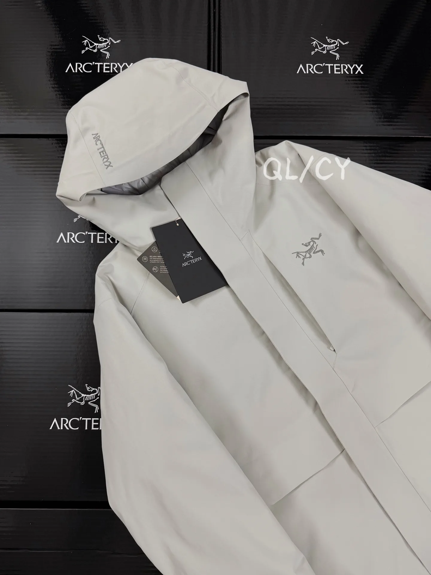 Therme GORE-TEX Down-Filled Hooded Jacket D58019671 — view 2