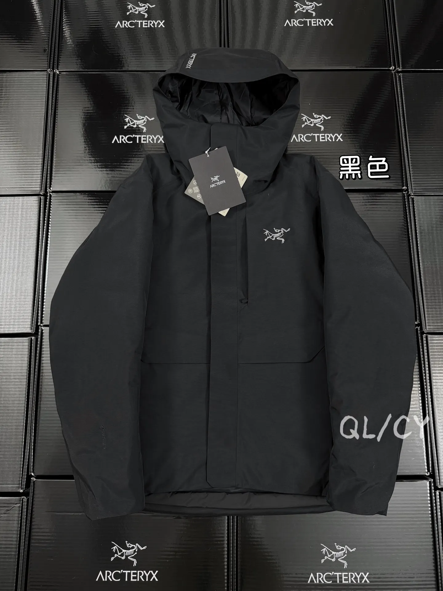 Therme GORE-TEX Down-Filled Hooded Jacket D58019672
